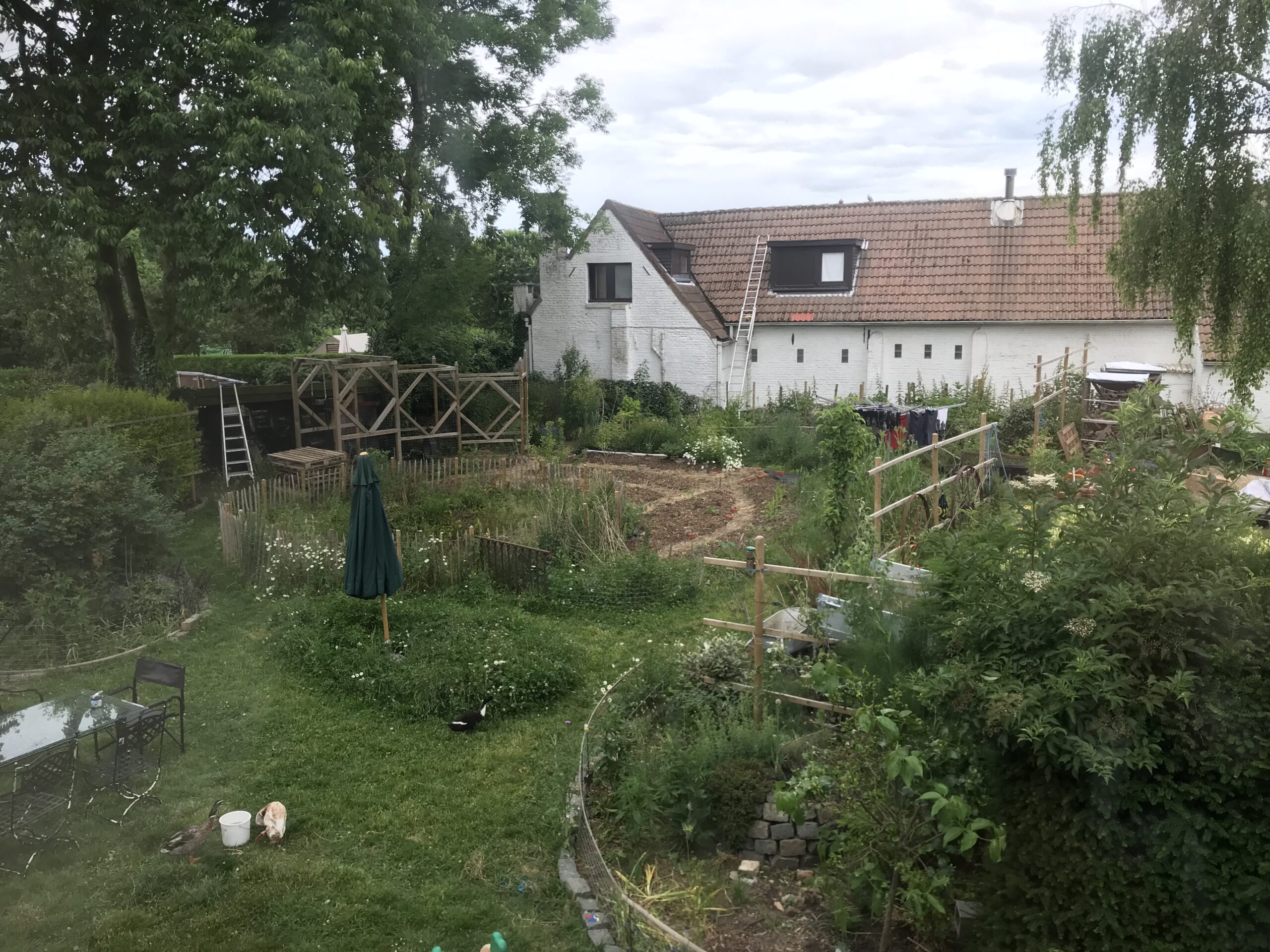 Visite du jardin en permaculture