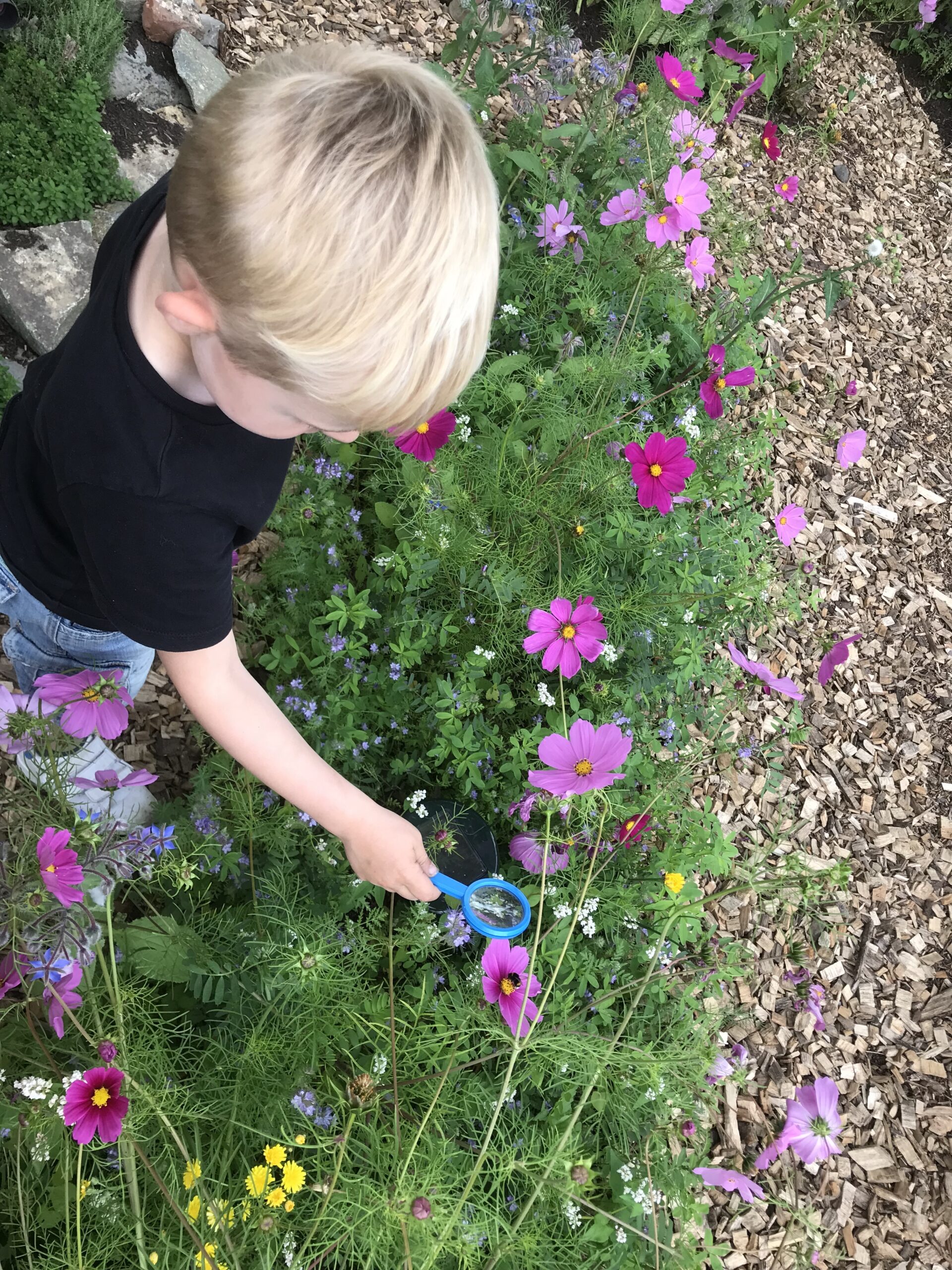 Faire un stage nature à leuze ? Nos idées pour vos enfants