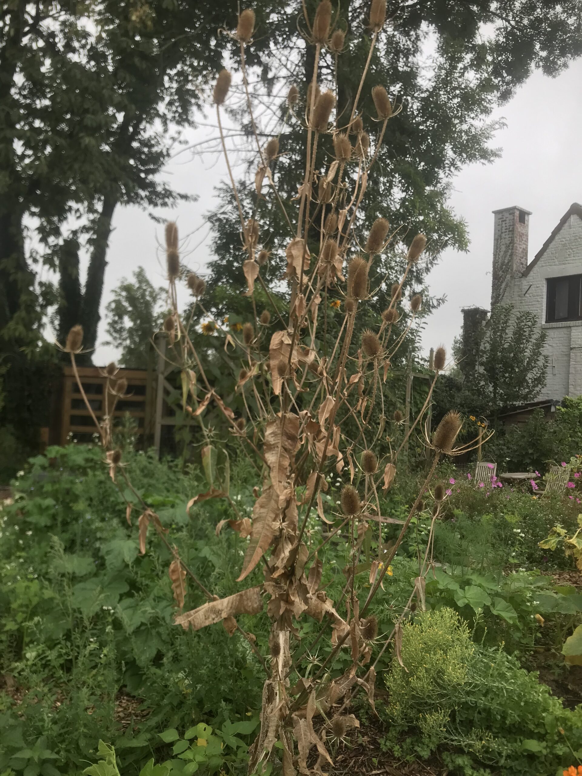 Tout savoir pour accueillir la biodiversité à l’arrivée de l’automne