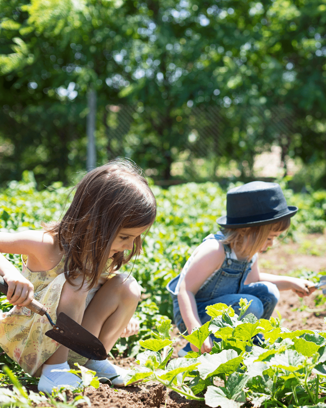 école du dehors activité nature potager