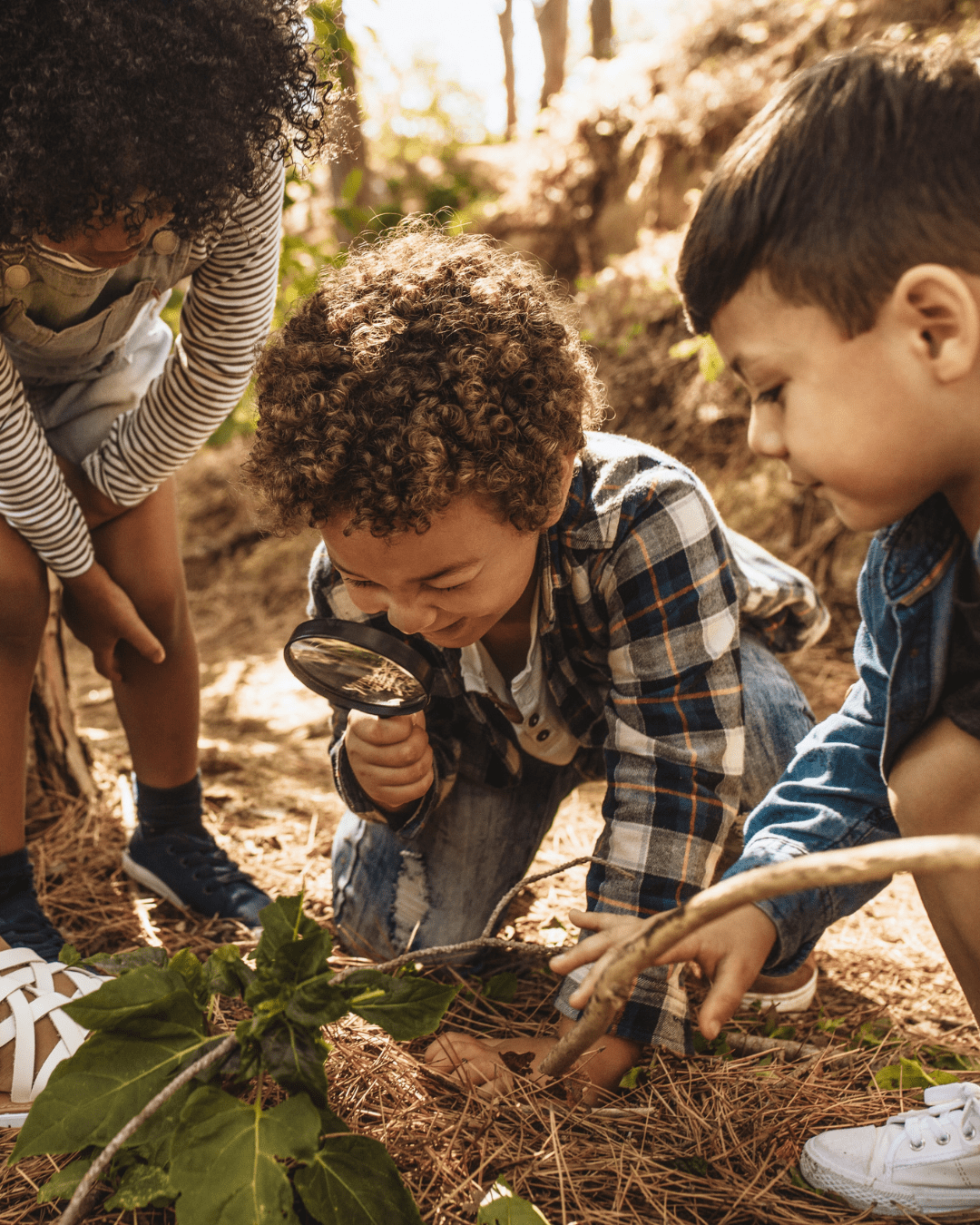 école du dehors activité nature potager