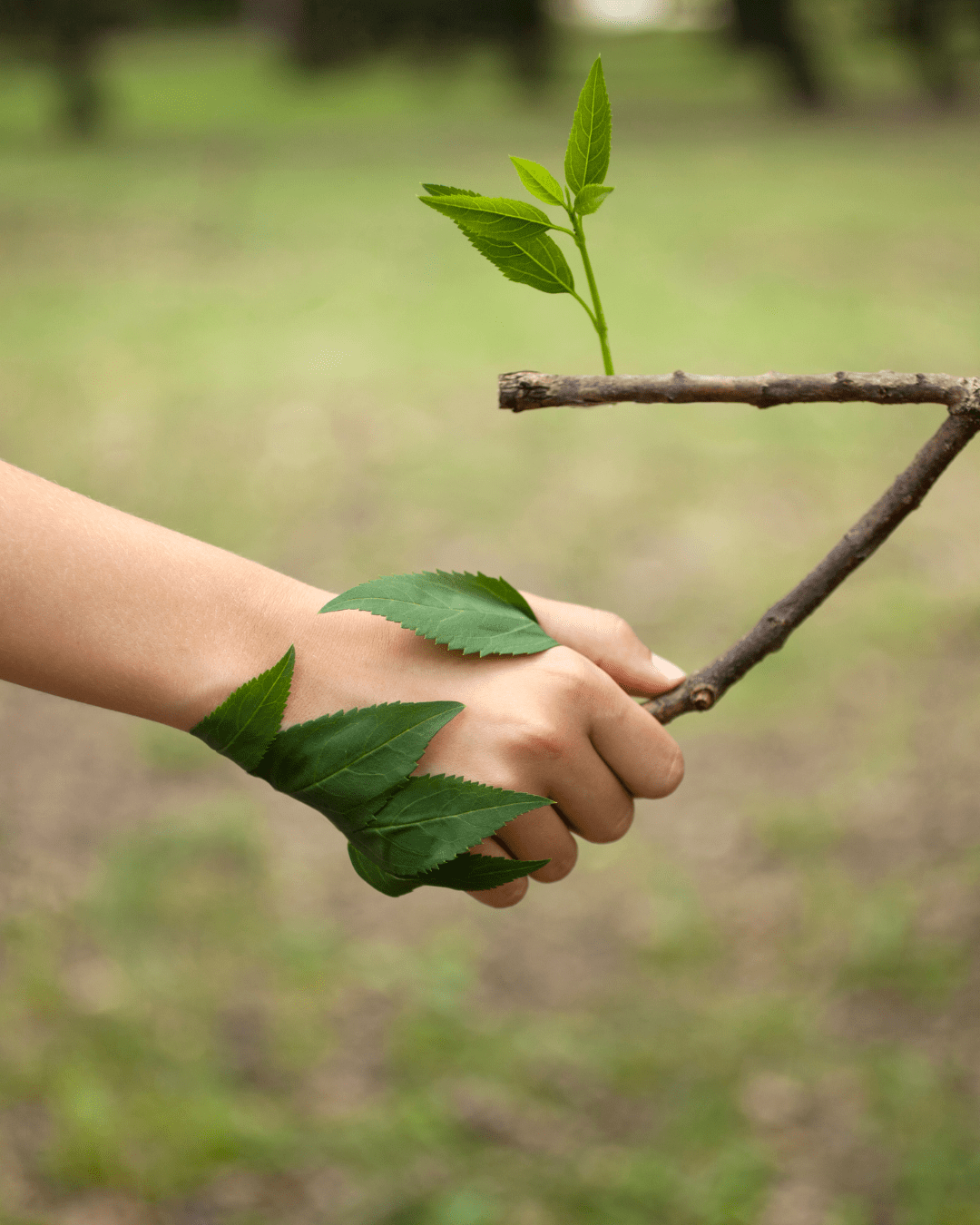 Ingéniosité de la nature