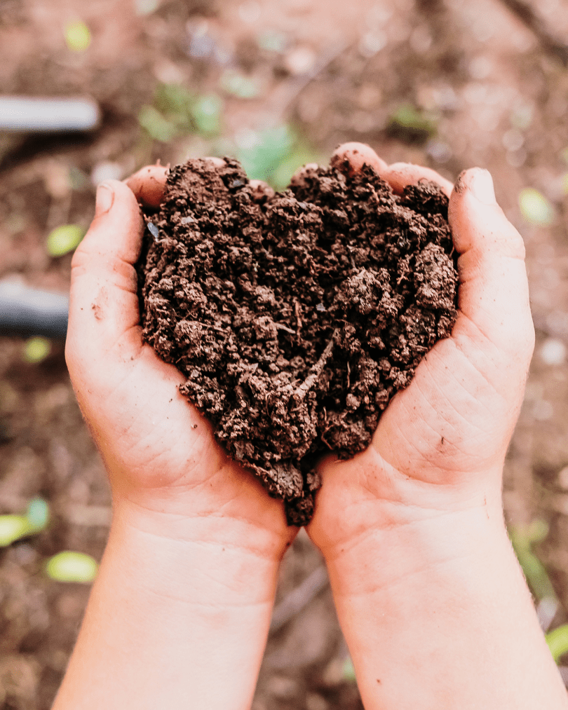 terre fertile lancer un potager en permaculture