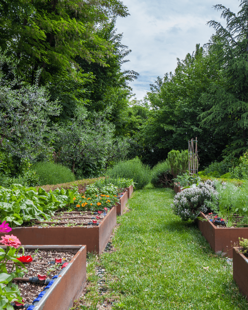 créer potager permaculture