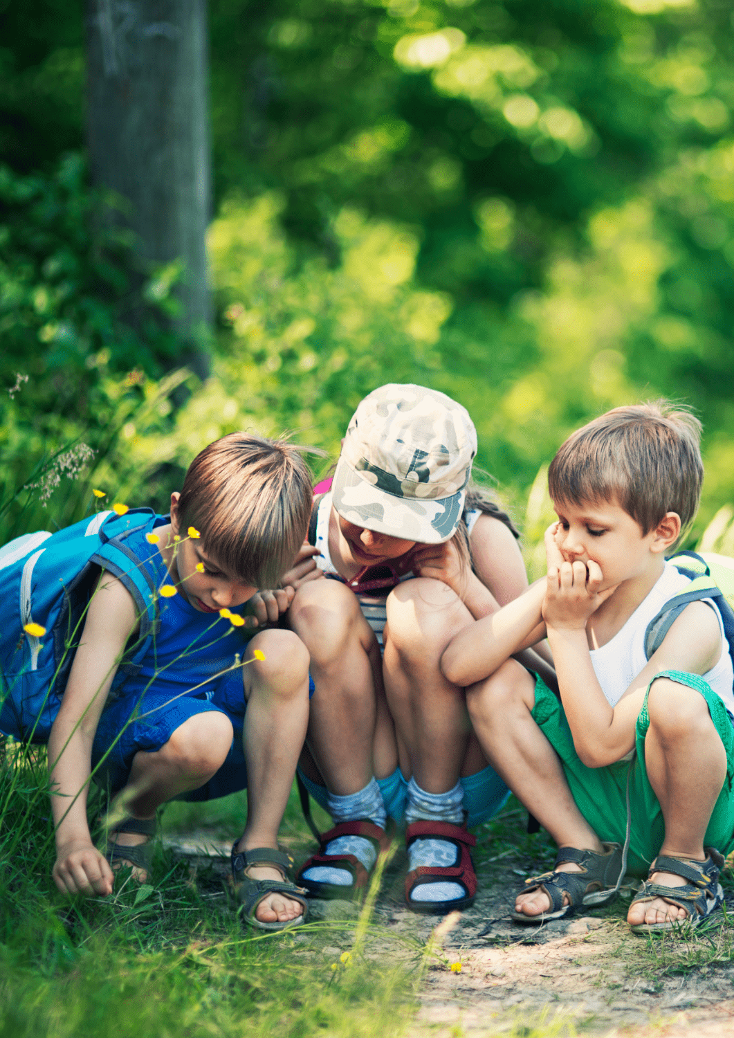 biomimétisme enfant