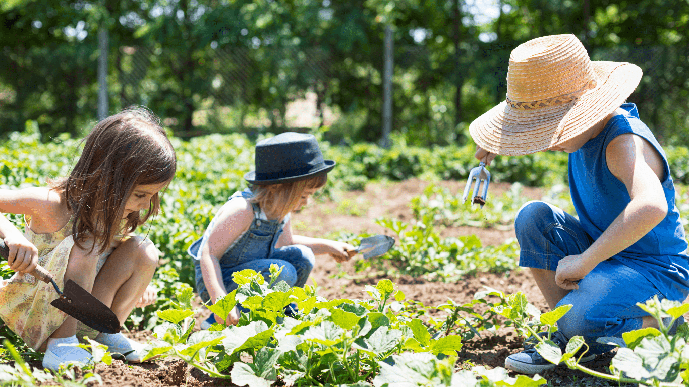 activité école potager dehors nature