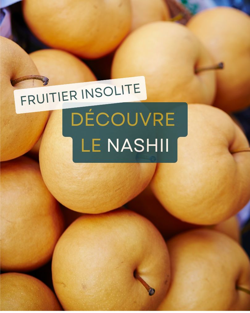 Culture du Nashii, fruitier insolite