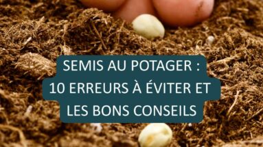 10 erreurs à éviter et les bons conseils semis