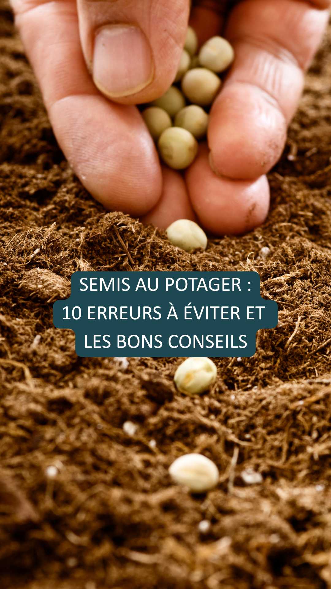 On sème ? 10 erreurs à éviter et les bons conseils semis