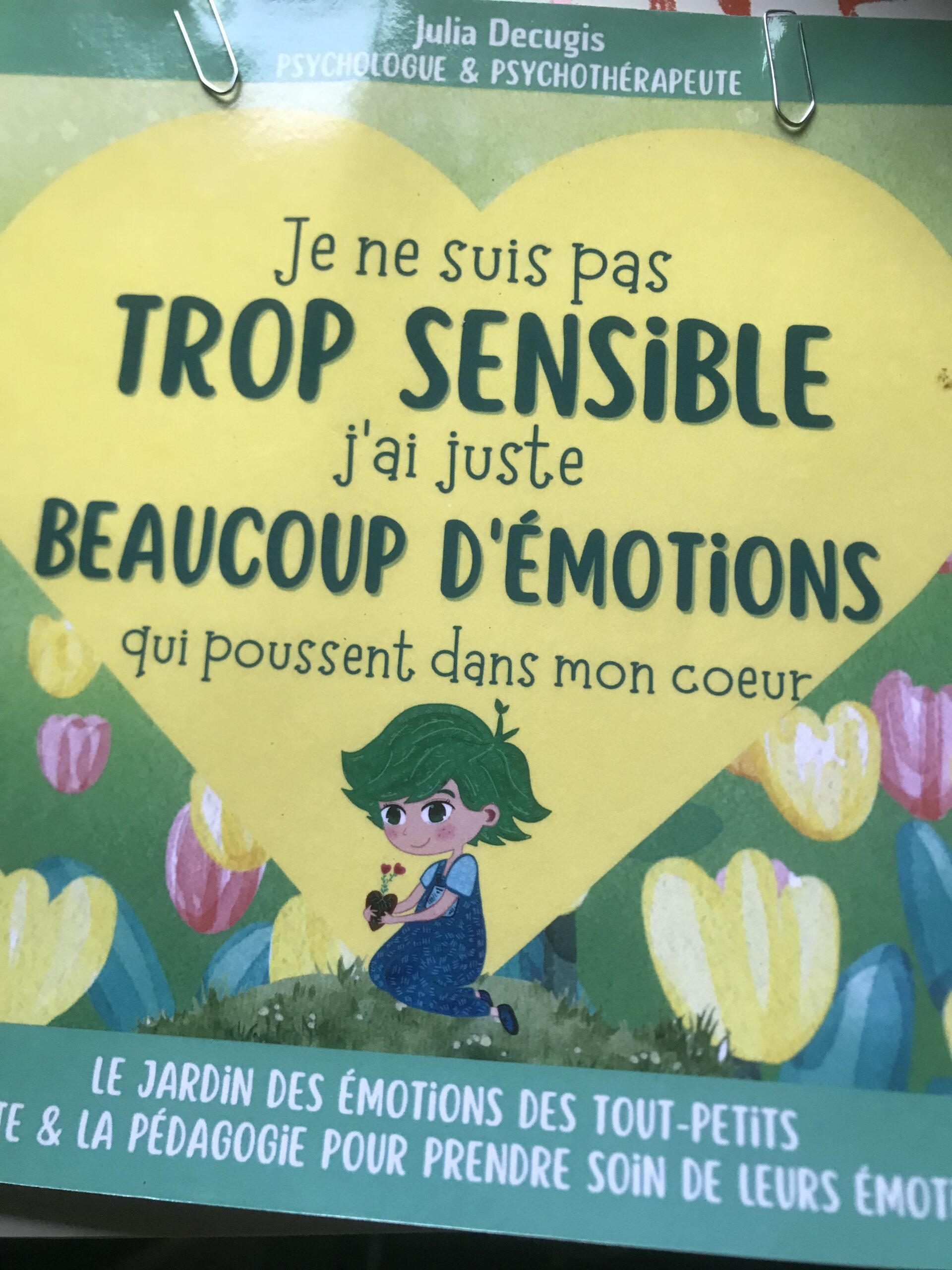 Le jardin des émotions colère enfant peur enfant tristesse enfant cultiver ses émotions jardin 