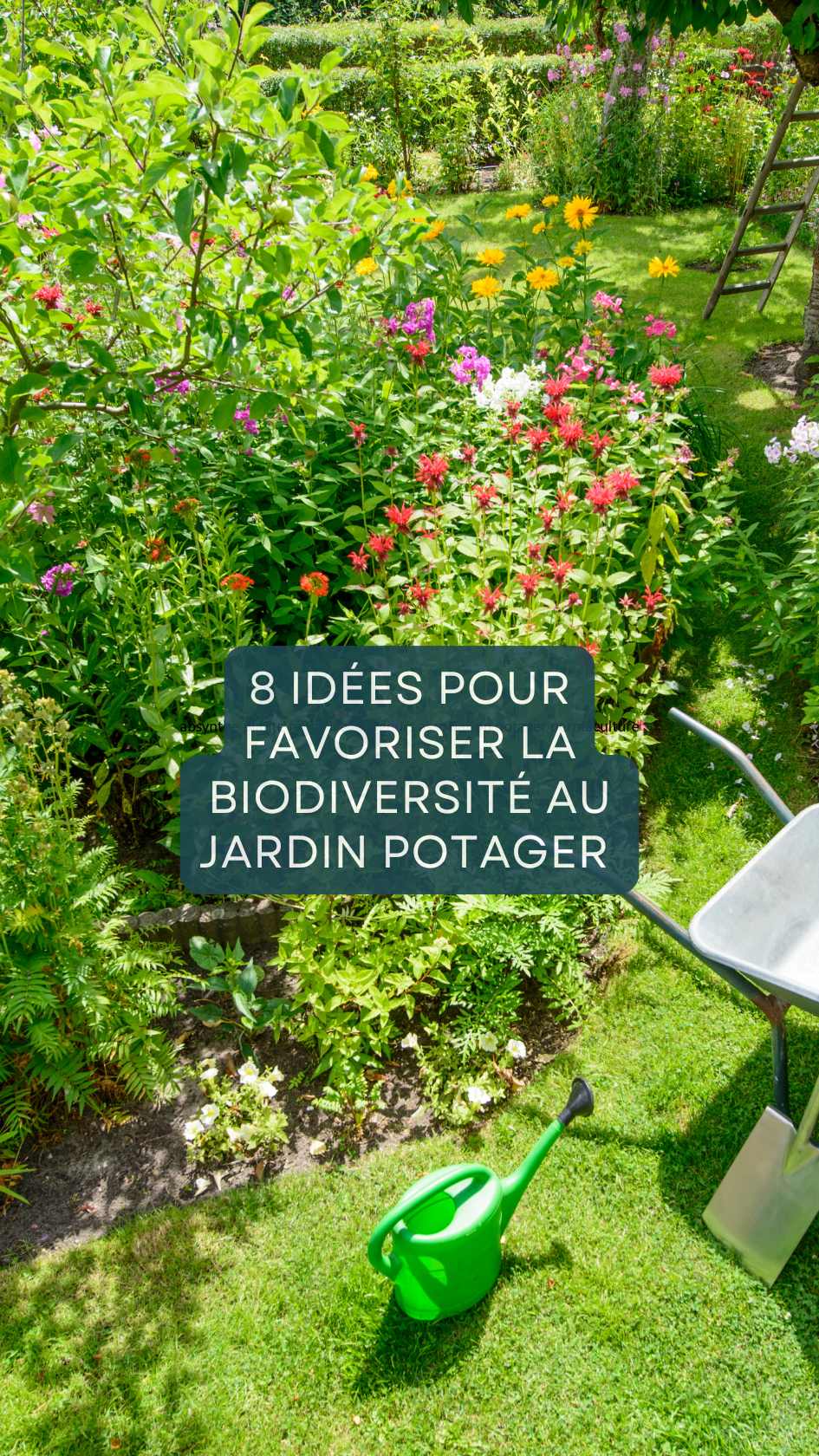 8 idées pour favoriser la biodiversité au jardin potager