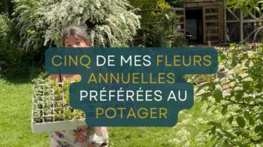 fleurs potager