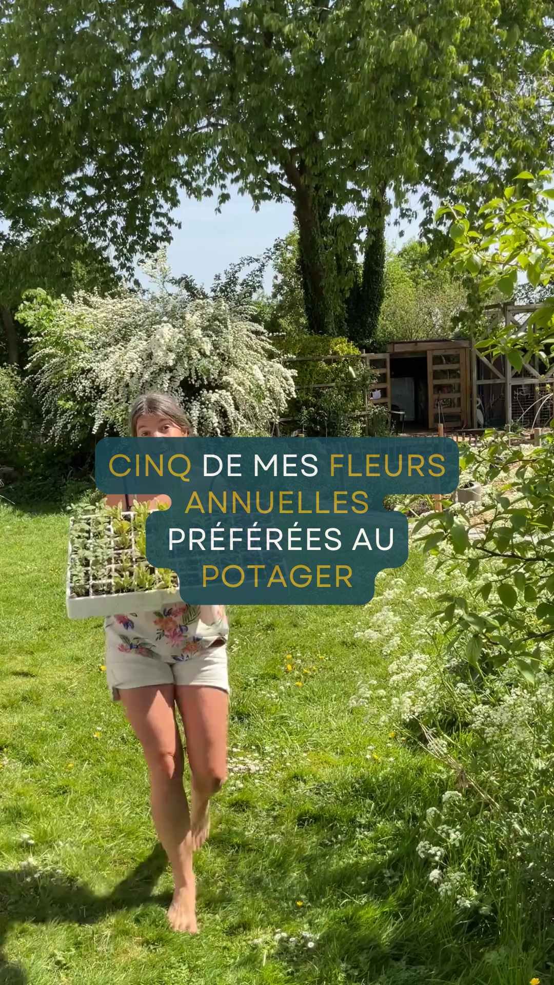 Cinq de mes fleurs annuelles préférées au potager
