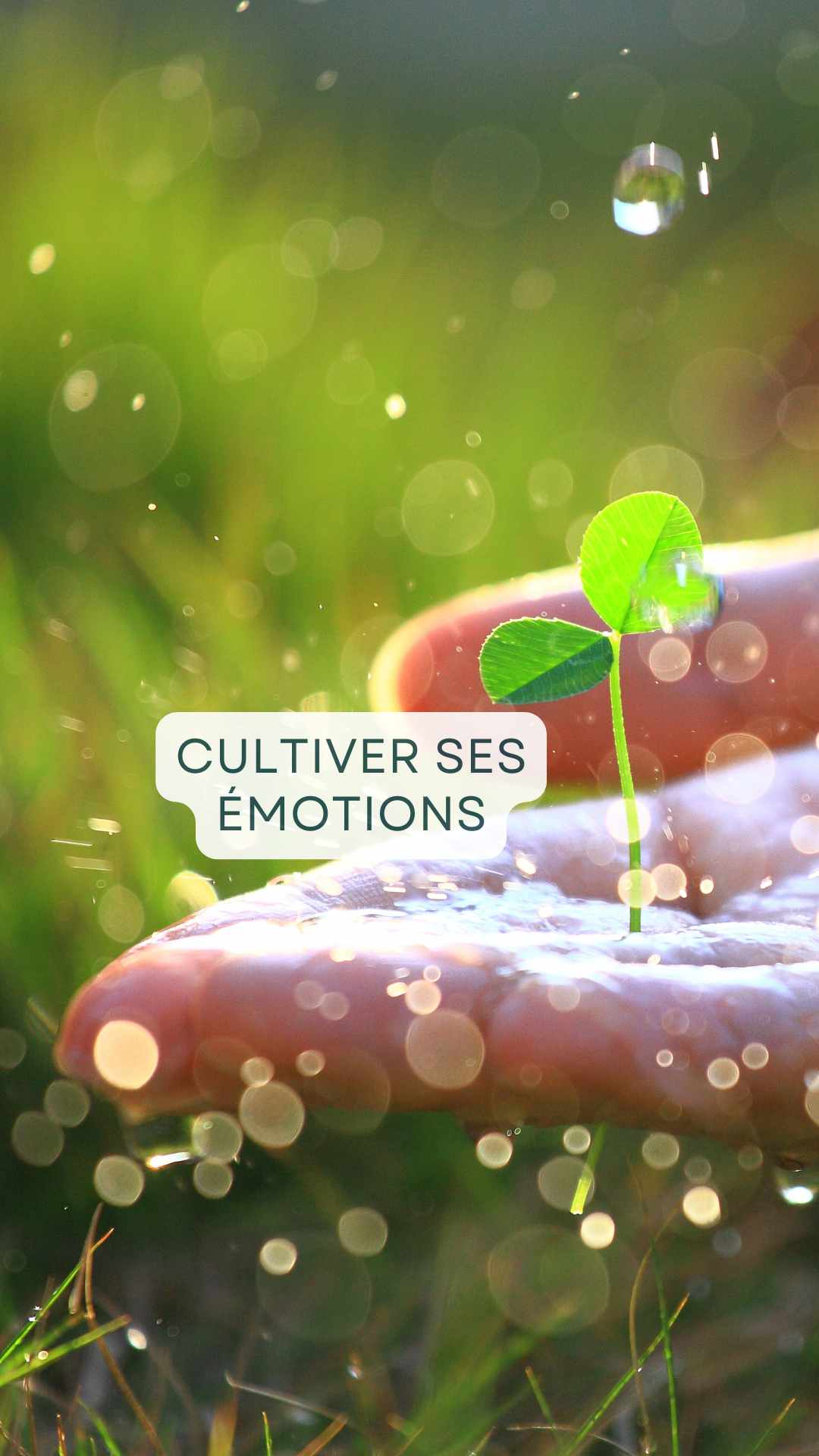 Cultiver ses émotions et son jardin du coeur