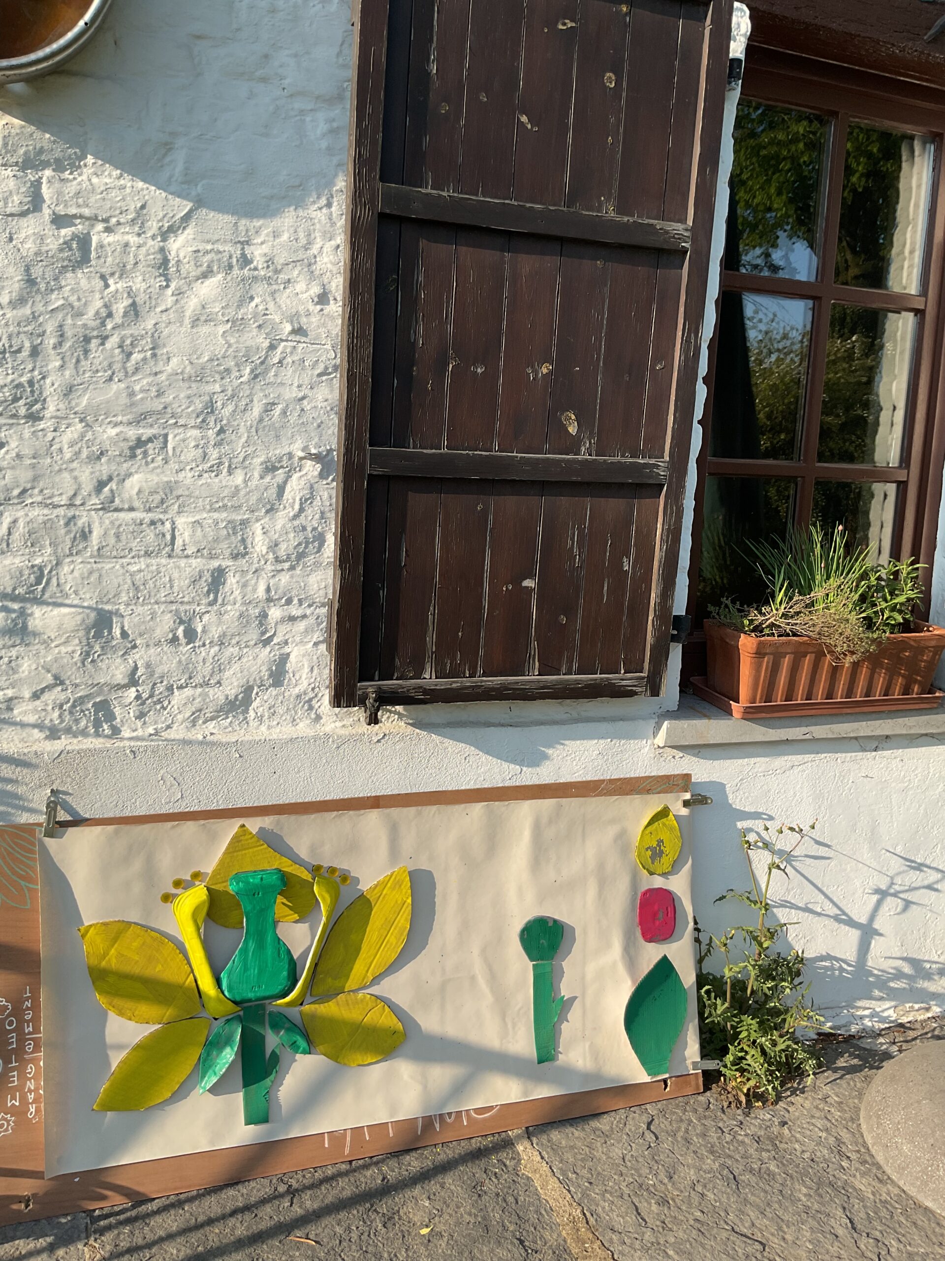 Pollinisation abeille semences enfant potager