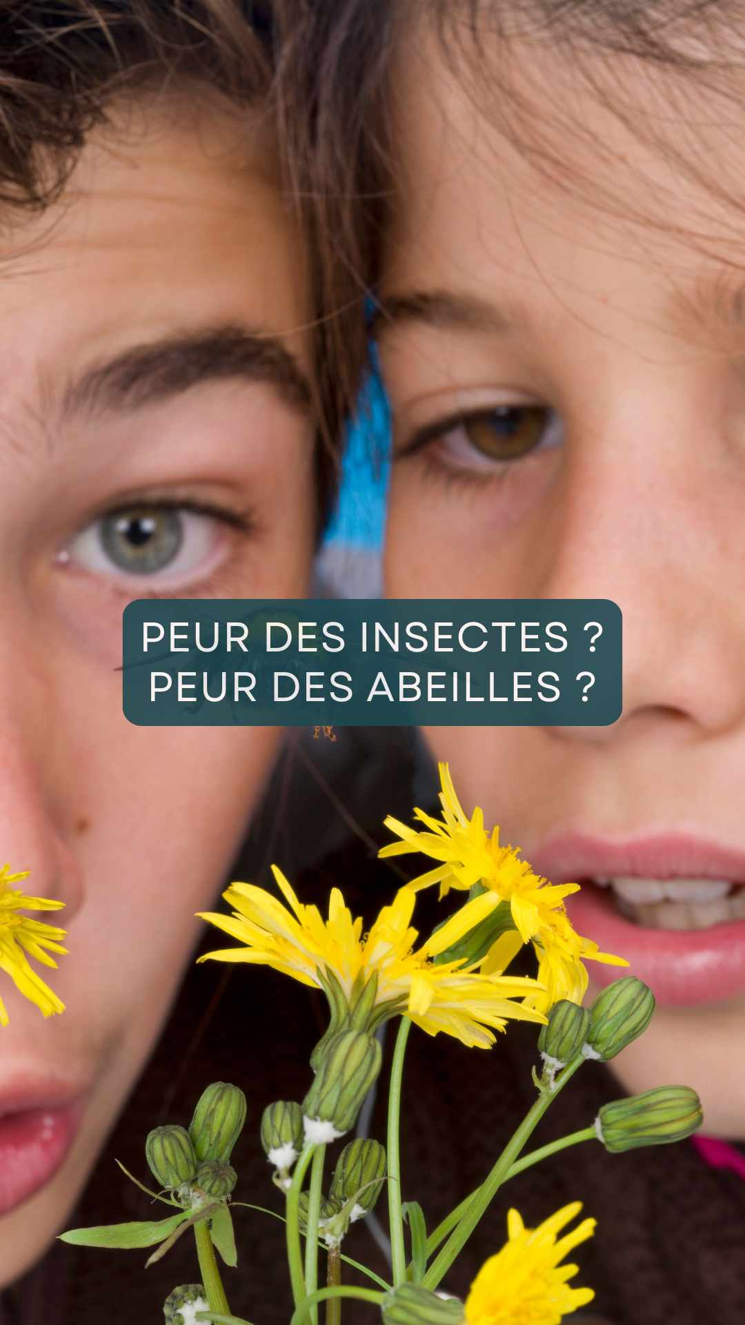Peur des abeilles et guêpes?
