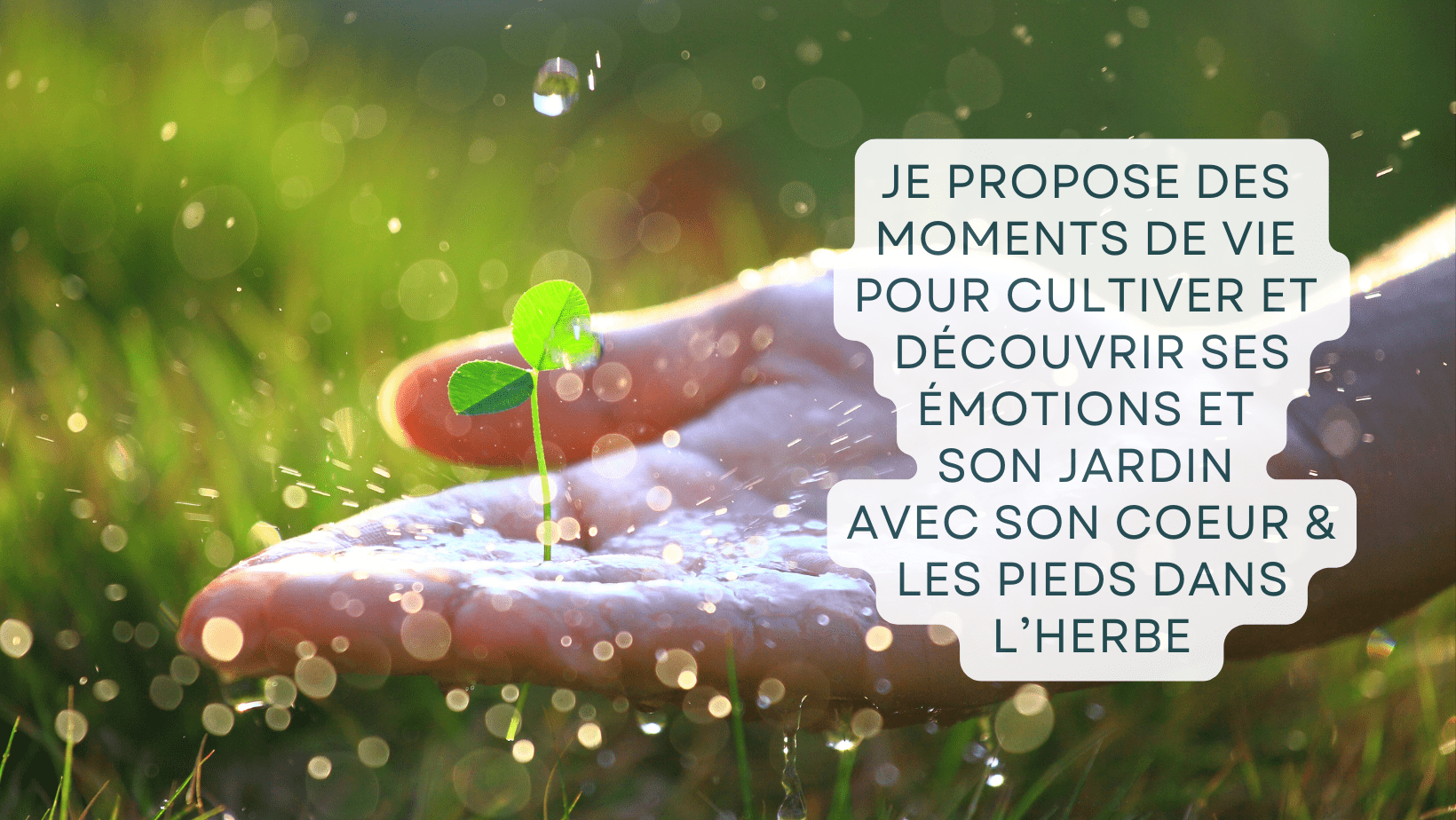 activité stage enfant nature émotion peur colère tristesse potager école du dehors