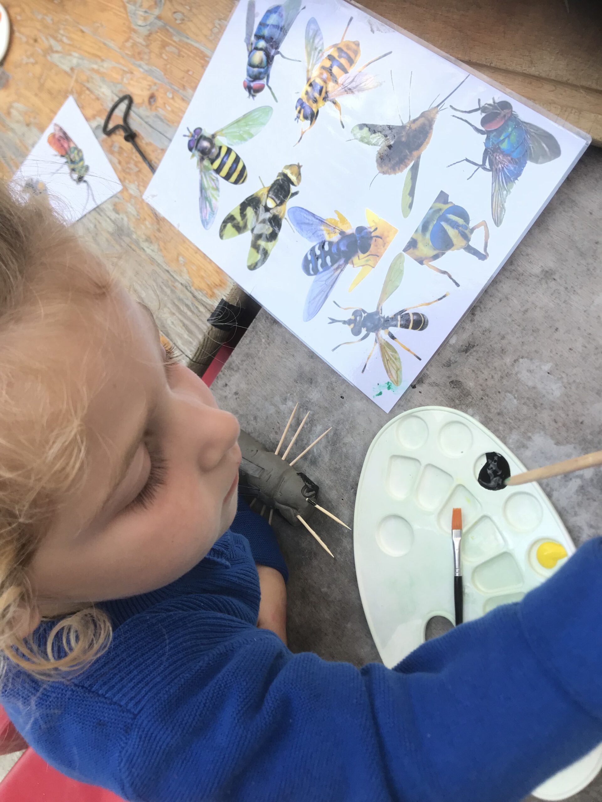 Nid hôtel insecte Guêpe abeille guêpe solitaire abeille solitaire syrphe alliés du jardin auxiliaires activités enfants activité insectes nids abeilles nids guêpes pollinisation biodiversité au jardin jardin au naturel Permaculture écojardin