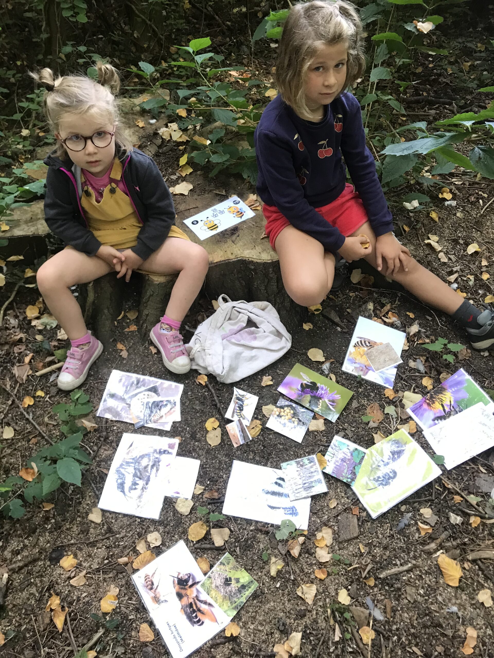 Nid hôtel insecte Guêpe abeille guêpe solitaire abeille solitaire syrphe alliés du jardin auxiliaires activités enfants activité insectes nids abeilles nids guêpes pollinisation biodiversité au jardin jardin au naturel Permaculture écojardin