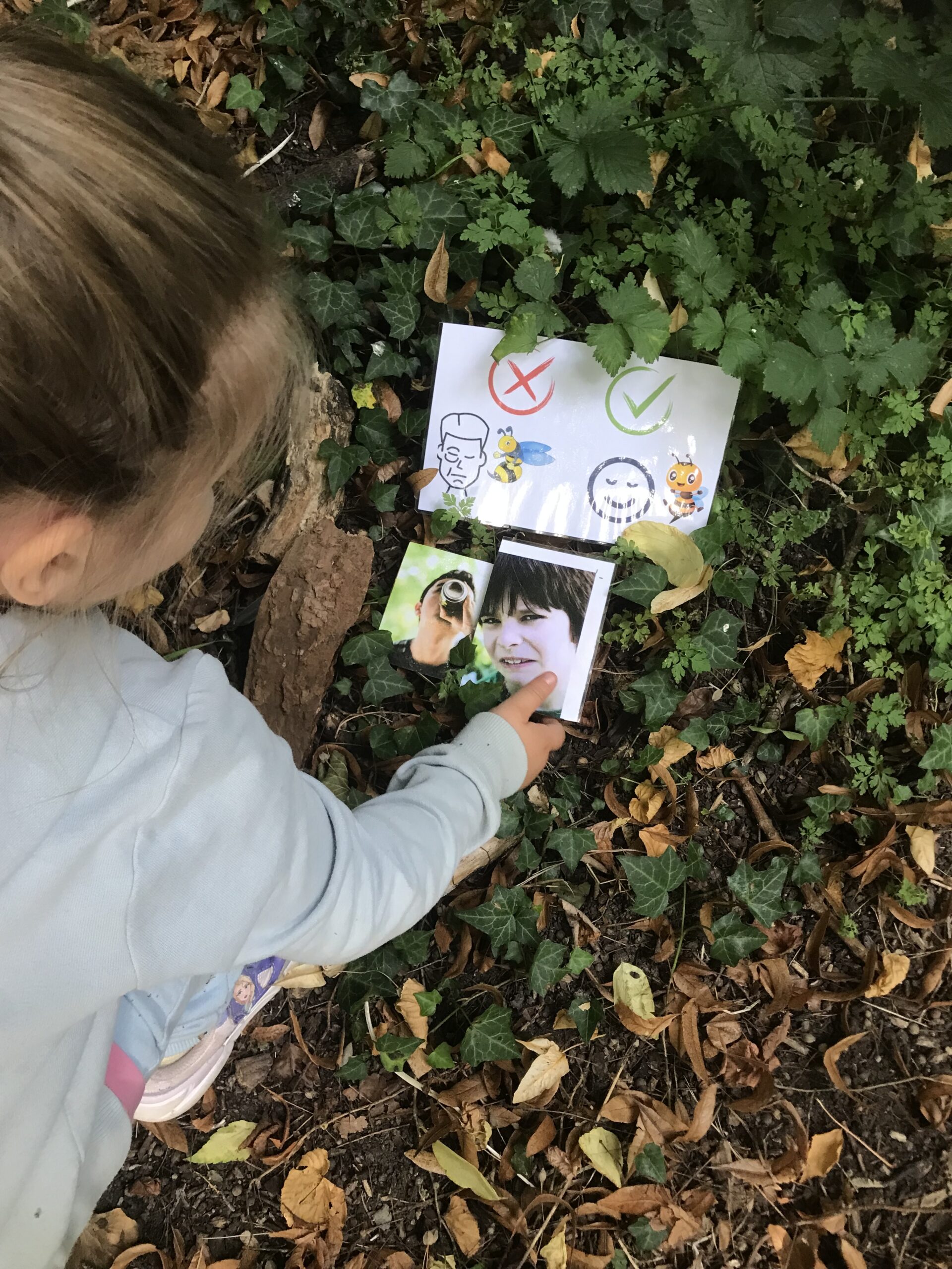 Nid hôtel insecte Guêpe abeille guêpe solitaire abeille solitaire syrphe alliés du jardin auxiliaires activités enfants activité insectes nids abeilles nids guêpes pollinisation biodiversité au jardin jardin au naturel Permaculture écojardin Que faire