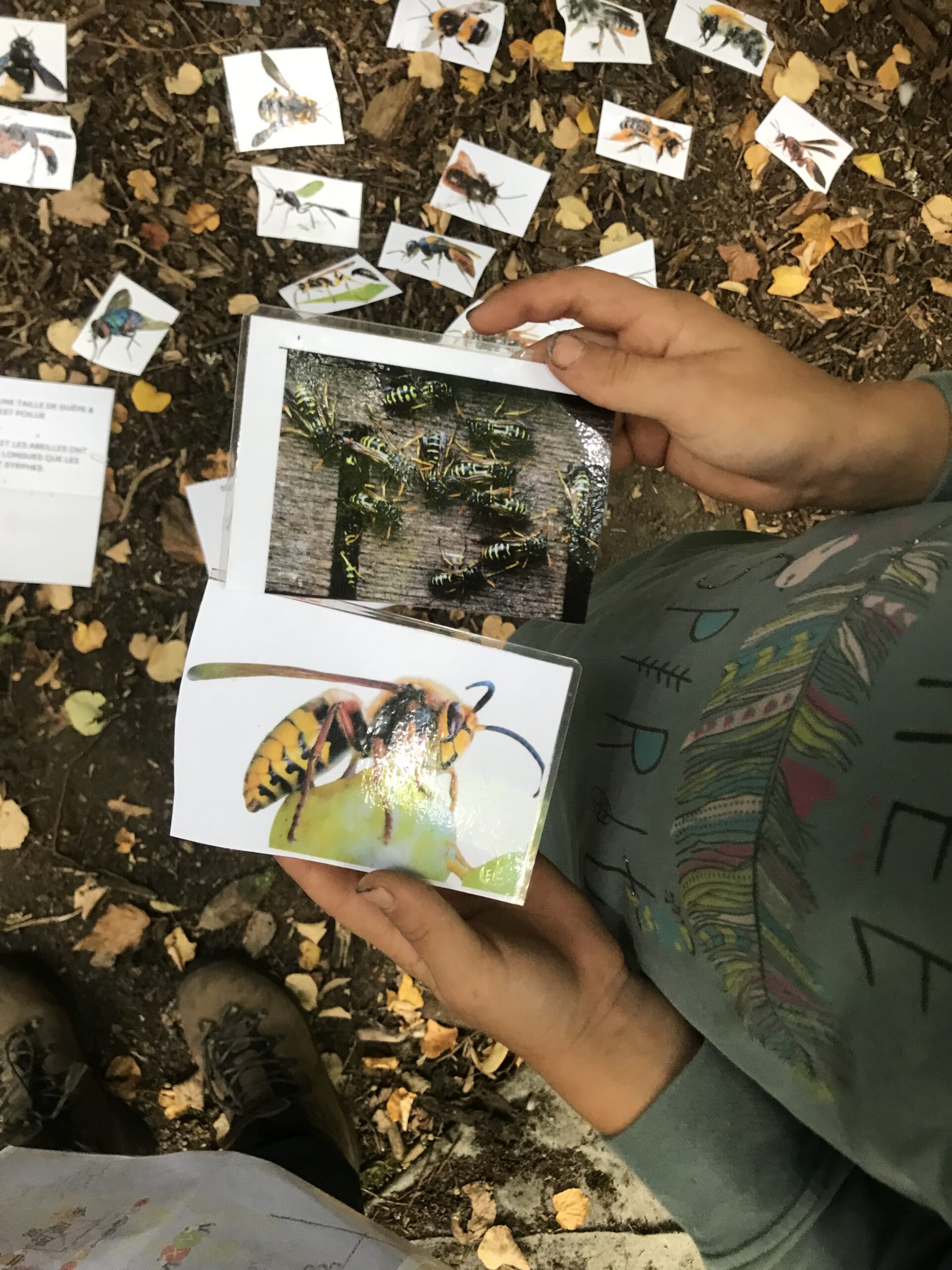 Nid hôtel insecte Guêpe abeille guêpe solitaire abeille solitaire syrphe alliés du jardin auxiliaires activités enfants activité insectes nids abeilles nids guêpes pollinisation biodiversité au jardin jardin au naturel Permaculture écojardin