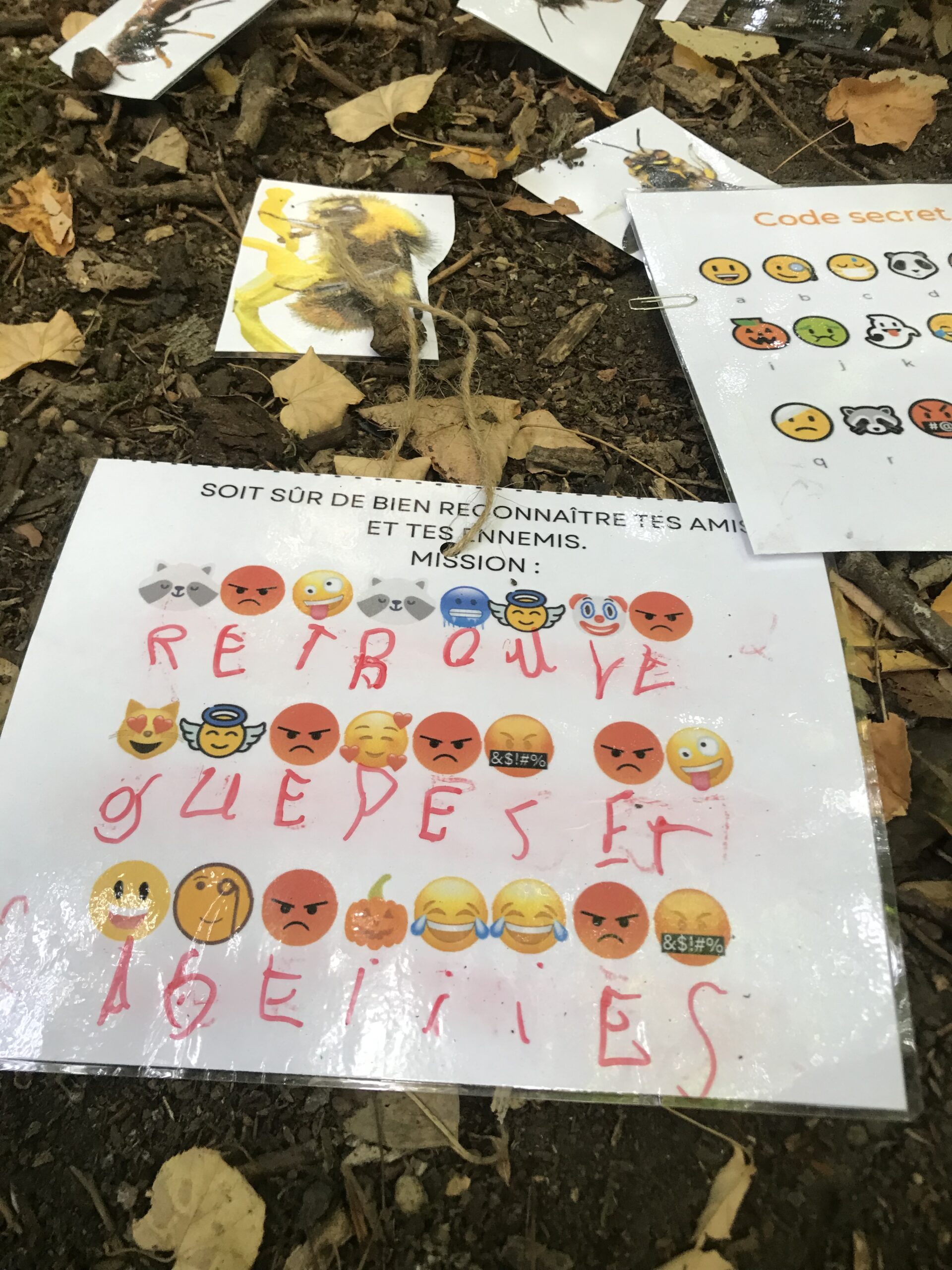 Nid hôtel insecte Guêpe abeille guêpe solitaire abeille solitaire syrphe alliés du jardin auxiliaires activités enfants activité insectes nids abeilles nids guêpes pollinisation biodiversité au jardin jardin au naturel Permaculture écojardin Jeux énigme