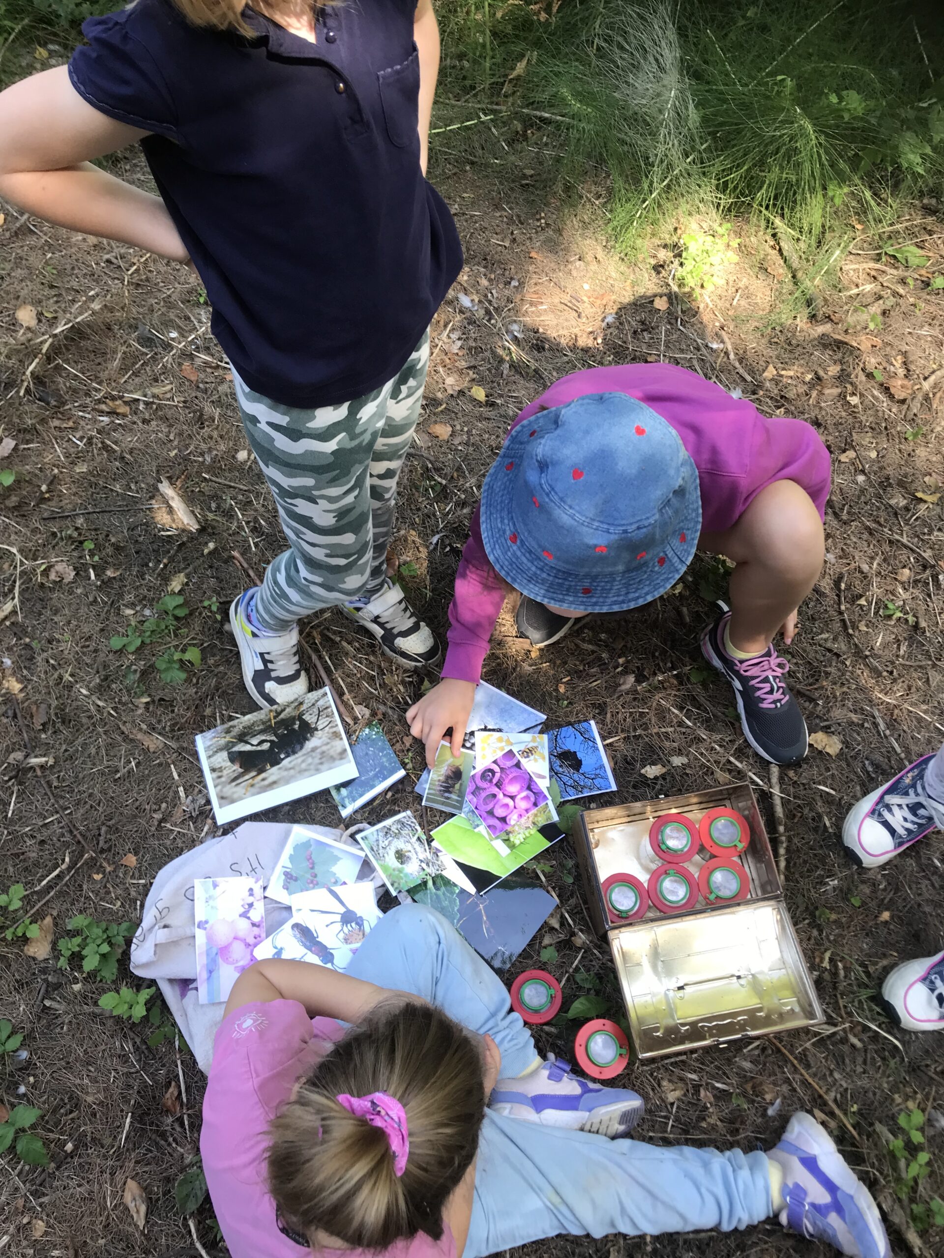Nid hôtel insecte Guêpe abeille guêpe solitaire abeille solitaire syrphe alliés du jardin auxiliaires activités enfants activité insectes nids abeilles nids guêpes pollinisation biodiversité au jardin jardin au naturel Permaculture écojardin