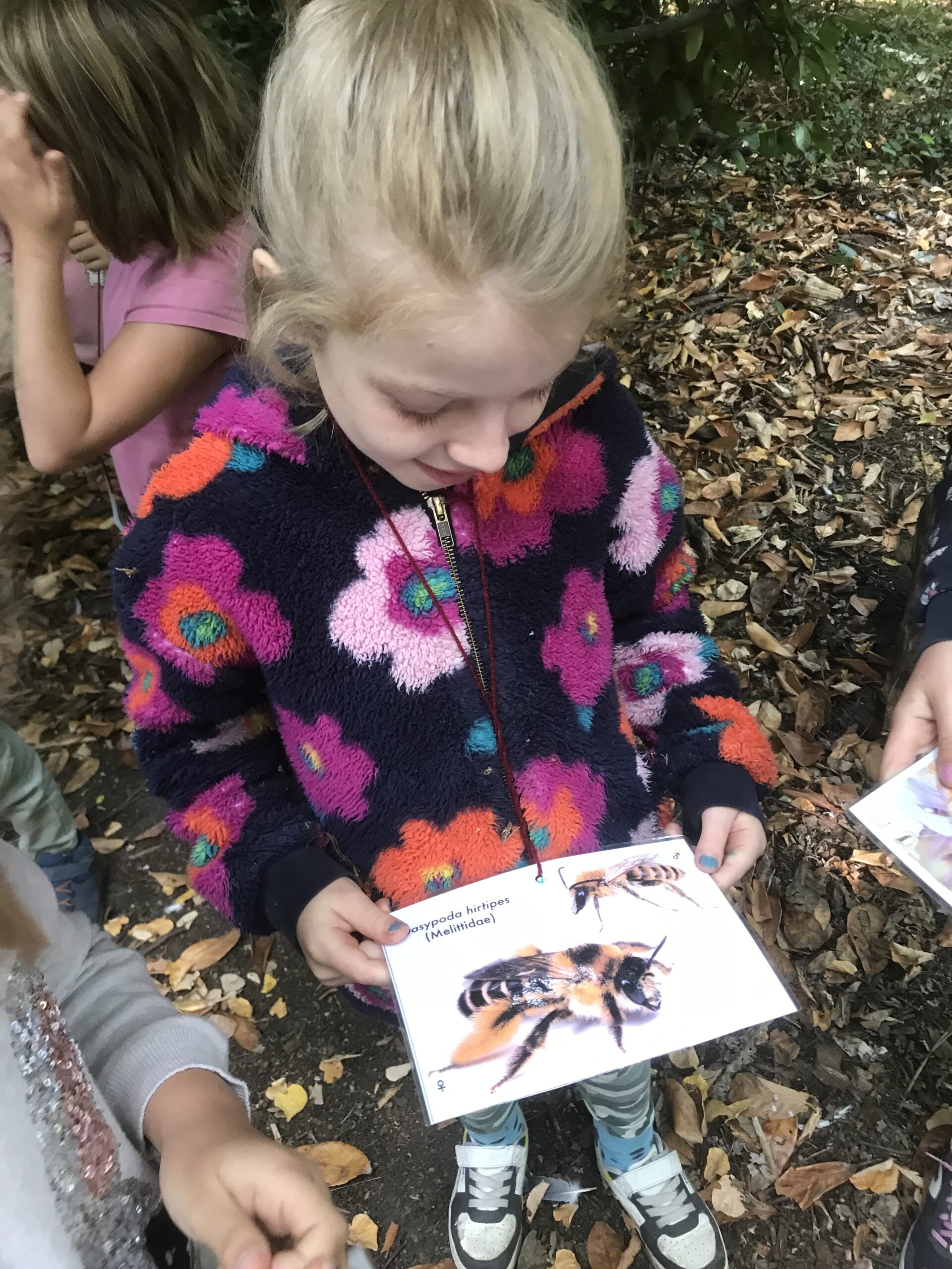 Nid hôtel insecte Guêpe abeille guêpe solitaire abeille solitaire syrphe alliés du jardin auxiliaires activités enfants activité insectes nids abeilles nids guêpes pollinisation biodiversité au jardin jardin au naturel Permaculture écojardin