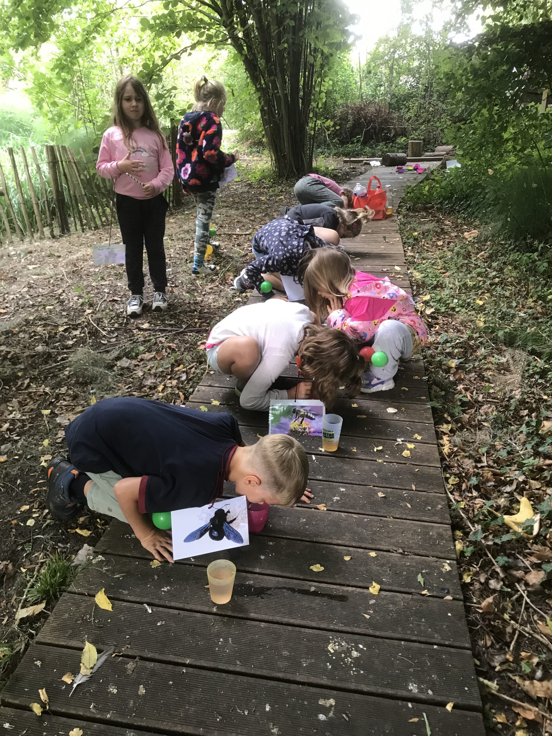 Nid hôtel insecte Guêpe abeille guêpe solitaire abeille solitaire syrphe alliés du jardin auxiliaires activités enfants activité insectes nids abeilles nids guêpes pollinisation biodiversité au jardin jardin au naturel Permaculture écojardin Fleurs nectar fleurs sauvages coévolution