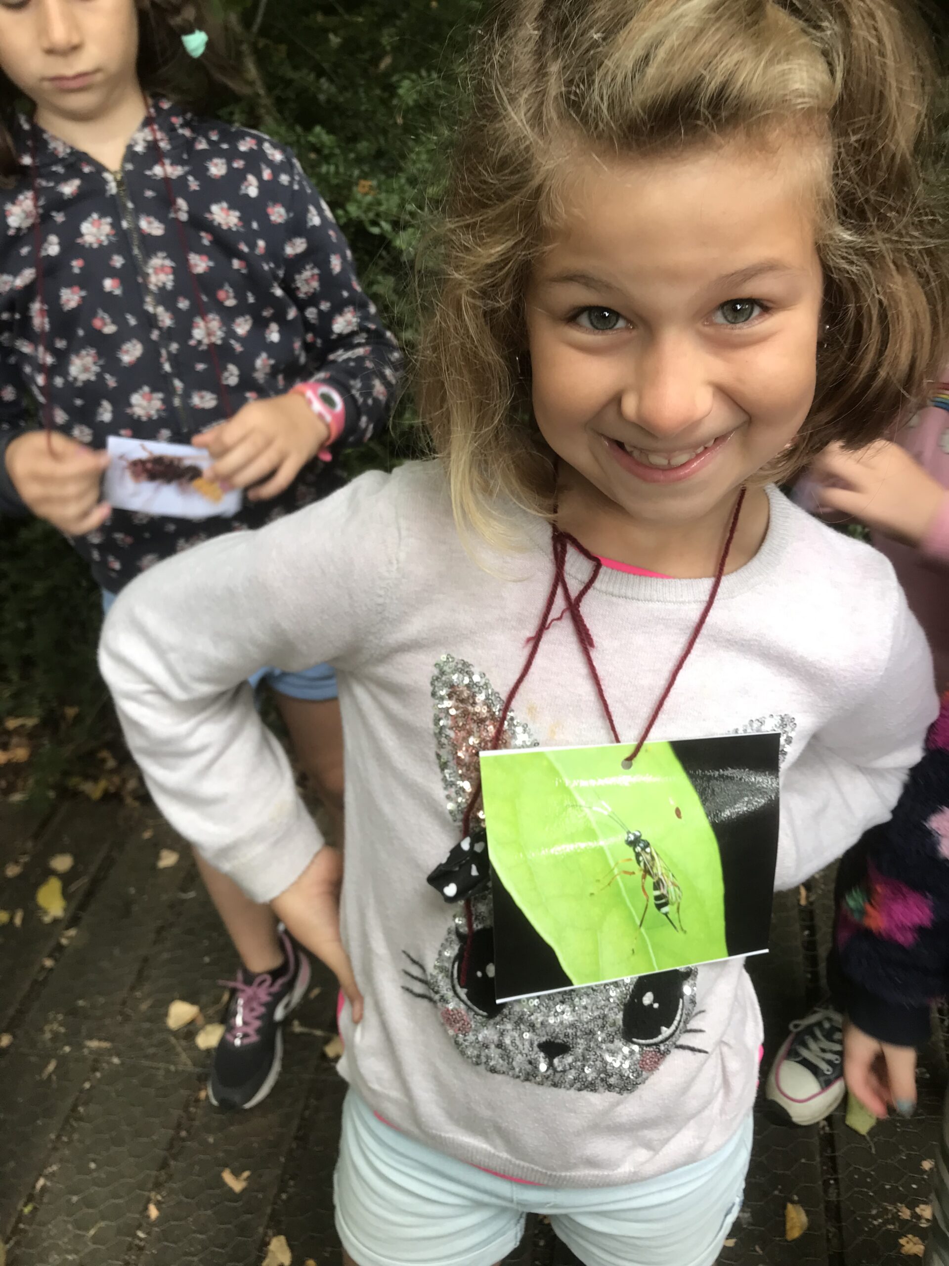 Nid hôtel insecte Guêpe abeille guêpe solitaire abeille solitaire syrphe alliés du jardin auxiliaires activités enfants activité insectes nids abeilles nids guêpes pollinisation biodiversité au jardin jardin au naturel Permaculture écojardin