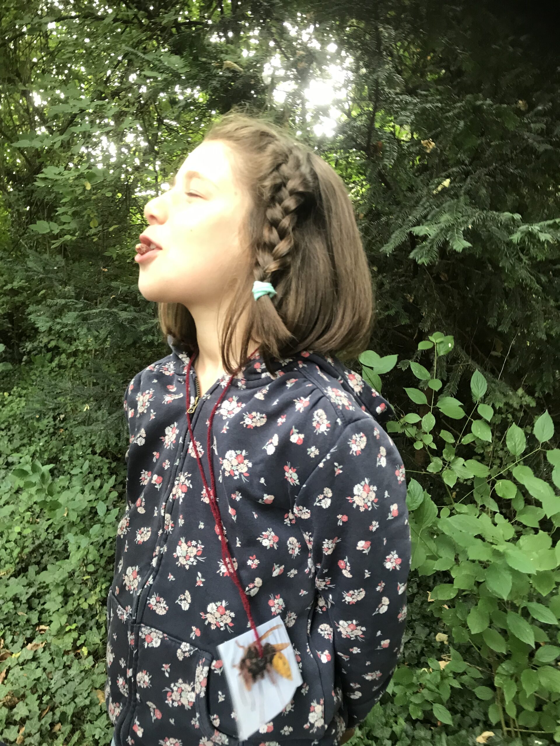 Nid hôtel insecte Guêpe abeille guêpe solitaire abeille solitaire syrphe alliés du jardin auxiliaires activités enfants activité insectes nids abeilles nids guêpes pollinisation biodiversité au jardin jardin au naturel Permaculture écojardin Dans la peau de