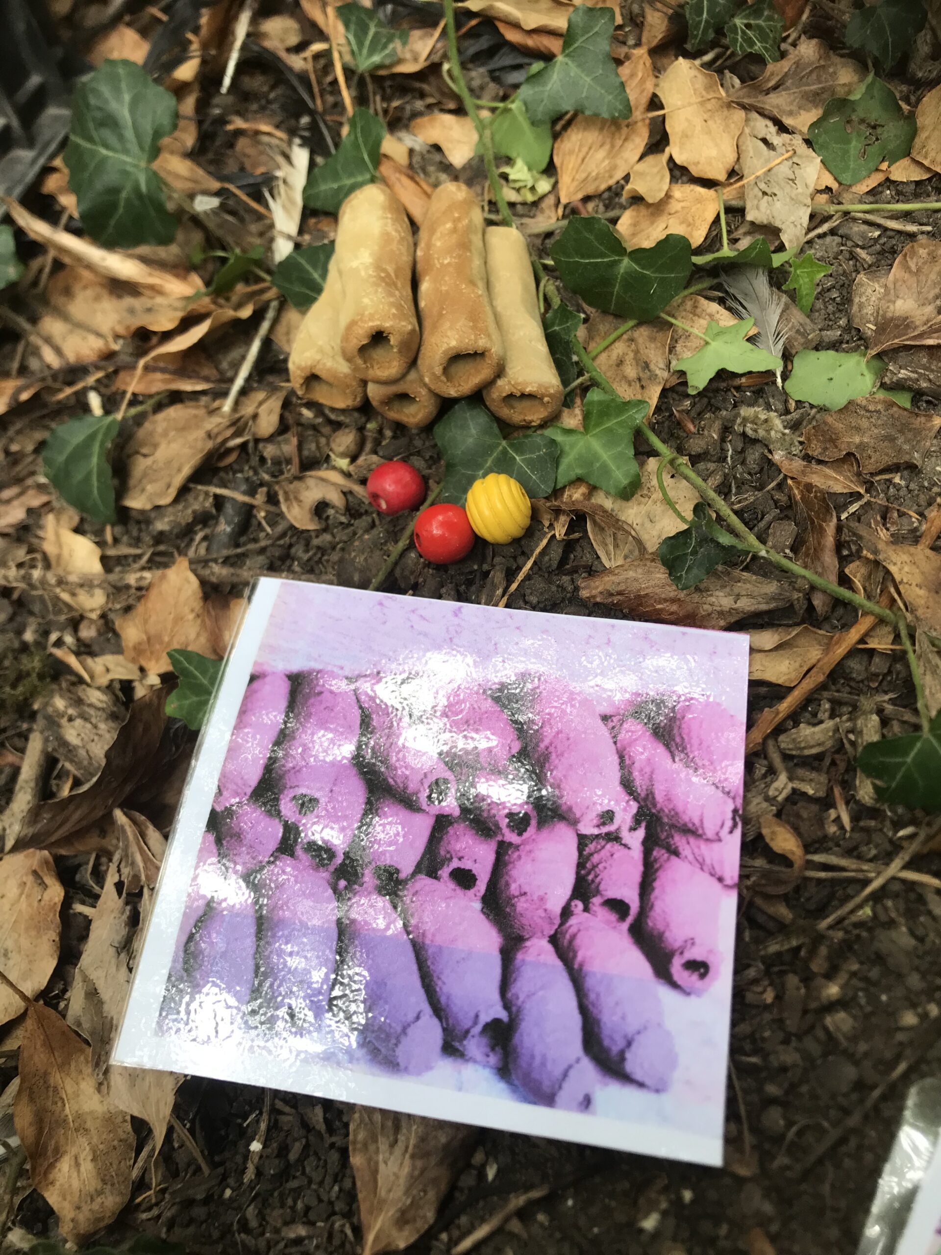 Nid hôtel insecte Guêpe abeille guêpe solitaire abeille solitaire syrphe alliés du jardin auxiliaires activités enfants activité insectes nids abeilles nids guêpes pollinisation biodiversité au jardin jardin au naturel Permaculture écojardin