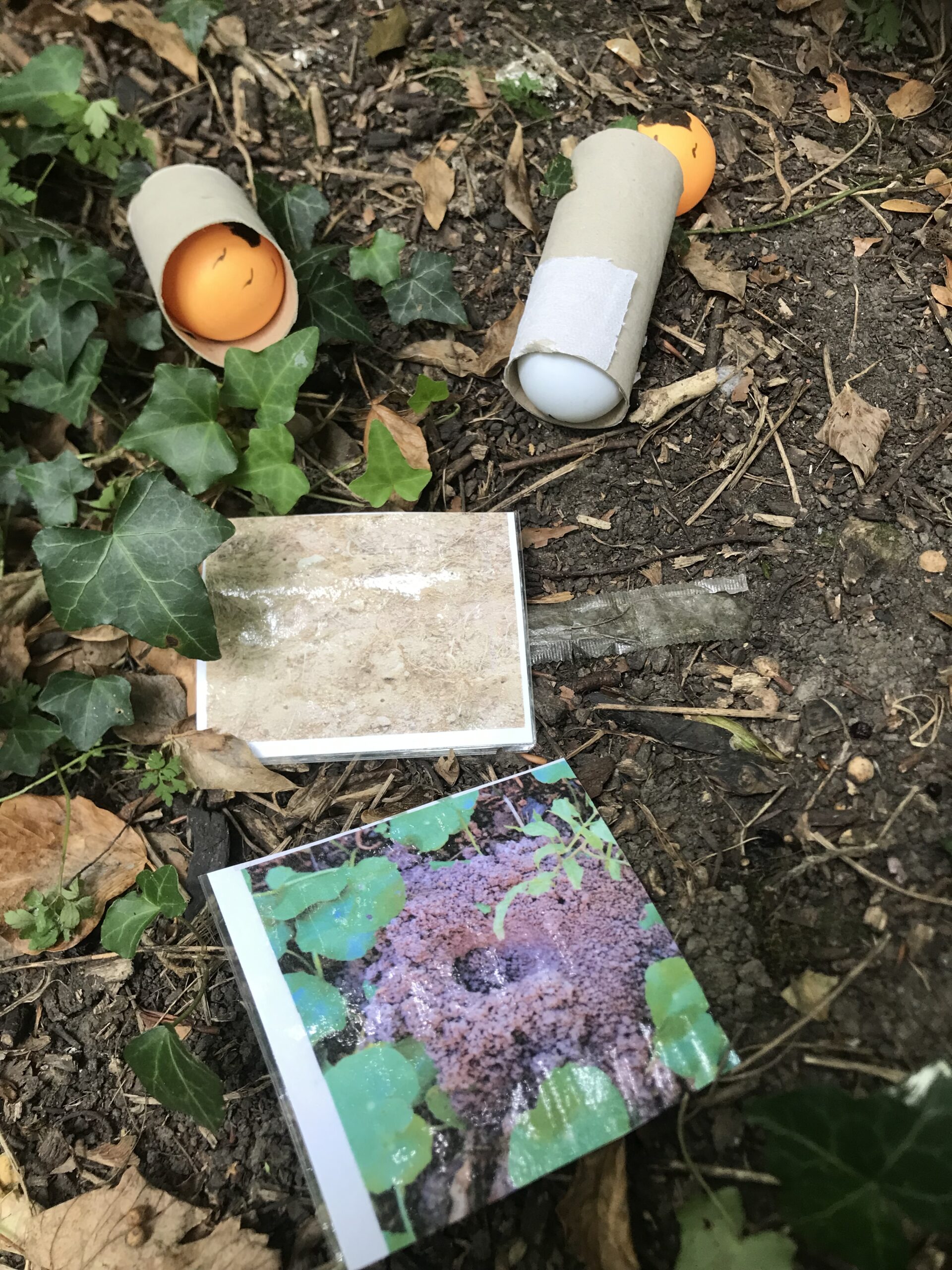 Nid hôtel insecte Guêpe abeille guêpe solitaire abeille solitaire syrphe alliés du jardin auxiliaires activités enfants activité insectes nids abeilles nids guêpes pollinisation biodiversité au jardin jardin au naturel Permaculture écojardin