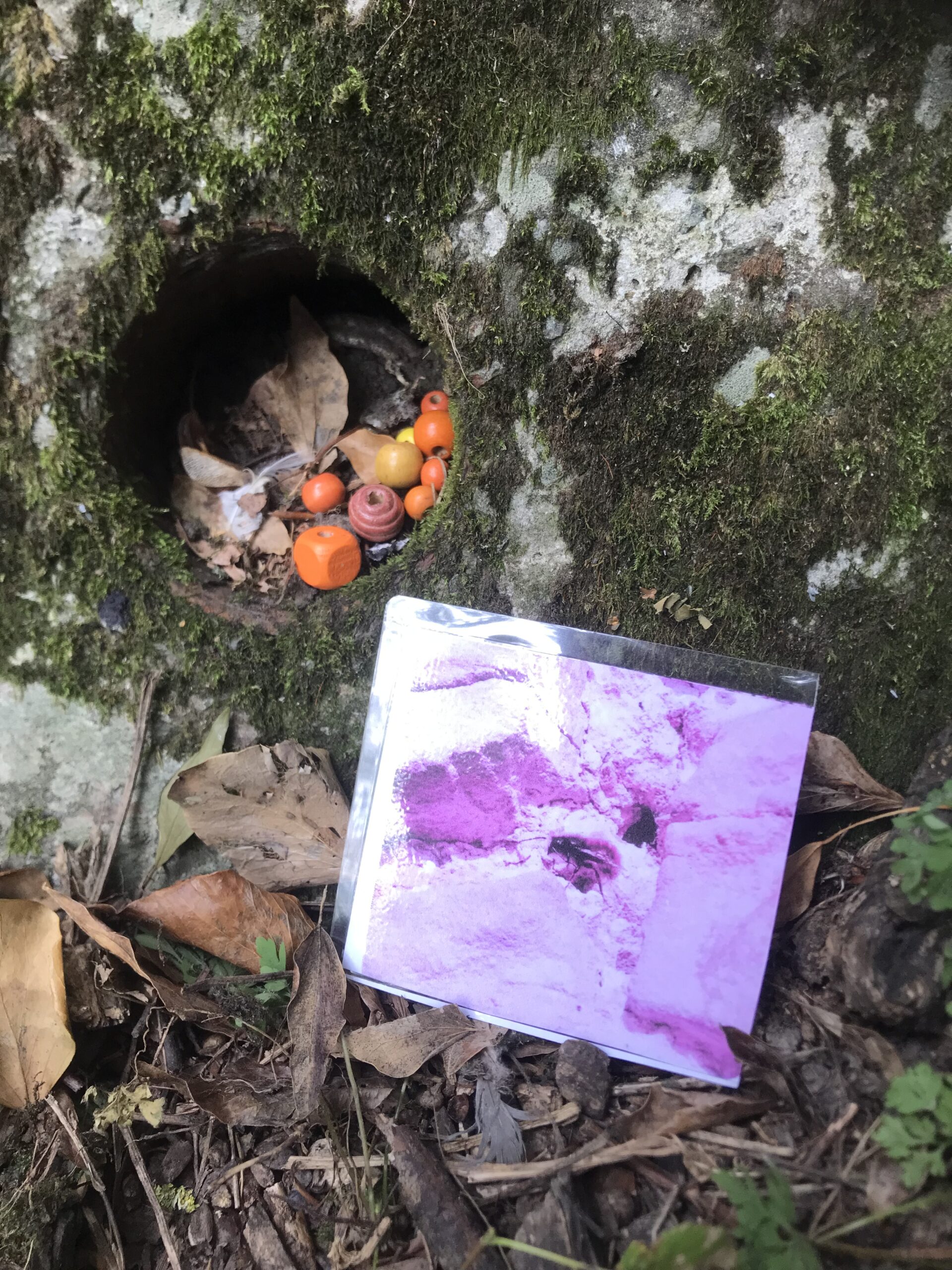 Nid hôtel insecte Guêpe abeille guêpe solitaire abeille solitaire syrphe alliés du jardin auxiliaires activités enfants activité insectes nids abeilles nids guêpes pollinisation biodiversité au jardin jardin au naturel Permaculture écojardin