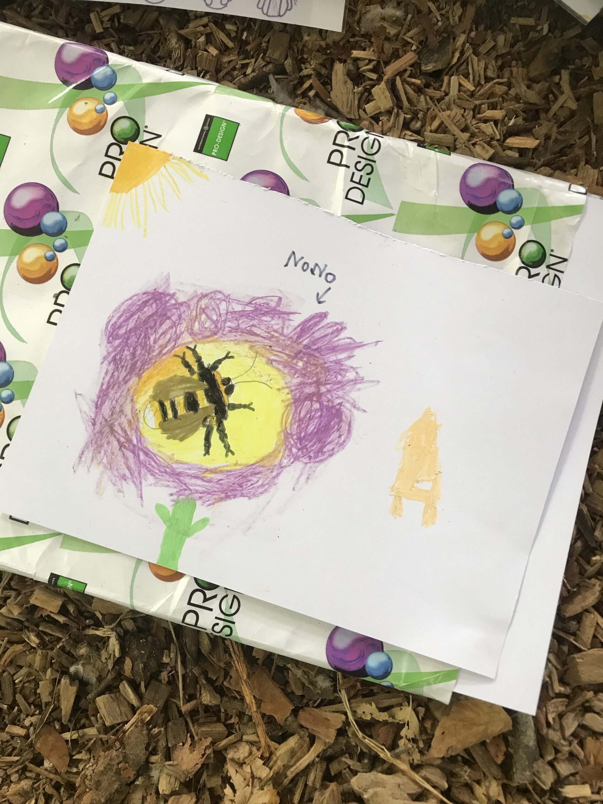 Nid hôtel insecte Guêpe abeille guêpe solitaire abeille solitaire syrphe alliés du jardin auxiliaires activités enfants activité insectes nids abeilles nids guêpes pollinisation biodiversité au jardin jardin au naturel Permaculture écojardin Dessin pas à pas