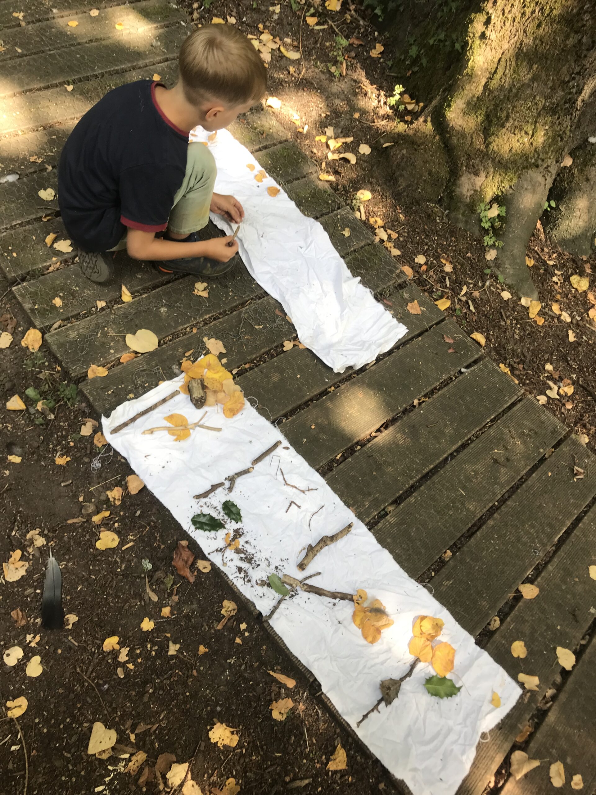 Nid hôtel insecte Guêpe abeille guêpe solitaire abeille solitaire syrphe alliés du jardin auxiliaires activités enfants activité insectes nids abeilles nids guêpes pollinisation biodiversité au jardin jardin au naturel Permaculture écojardin Histoire sauvage