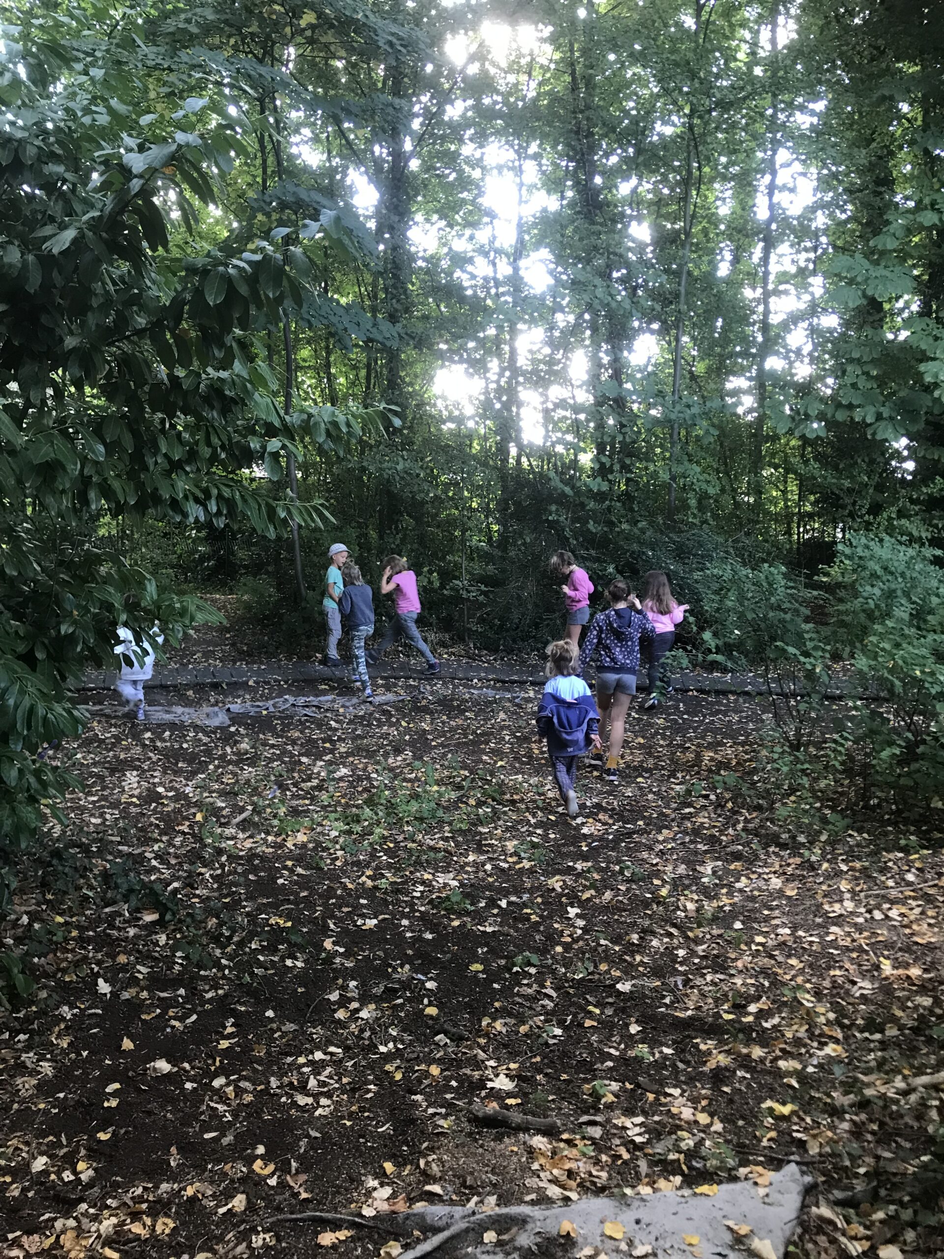 Nid hôtel insecte Guêpe abeille guêpe solitaire abeille solitaire syrphe alliés du jardin auxiliaires activités enfants activité insectes nids abeilles nids guêpes pollinisation biodiversité au jardin jardin au naturel Permaculture écojardin Dans la peau de