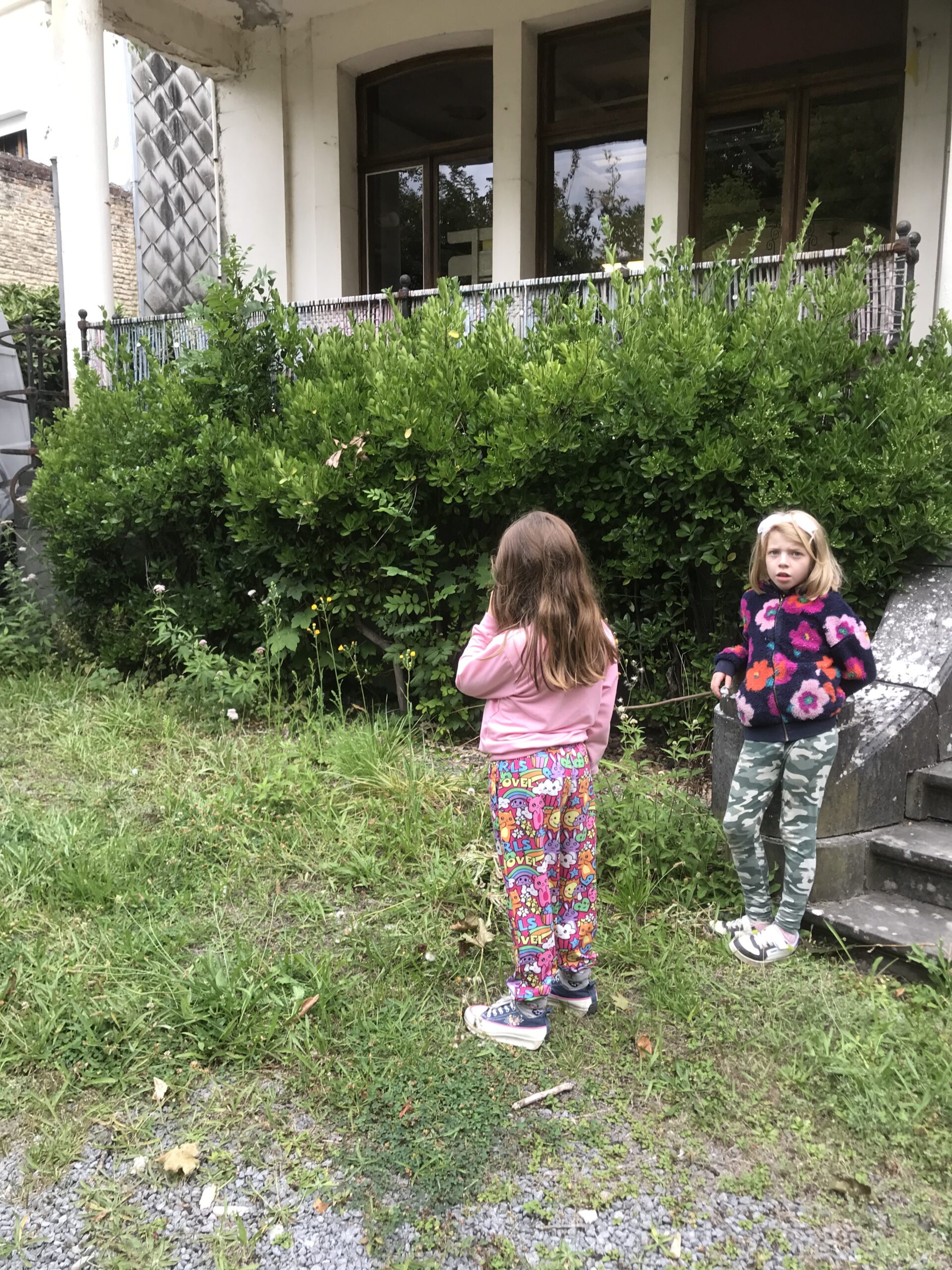 Nid hôtel insecte Guêpe abeille guêpe solitaire abeille solitaire syrphe alliés du jardin auxiliaires activités enfants activité insectes nids abeilles nids guêpes pollinisation biodiversité au jardin jardin au naturel Permaculture écojardin Dans la peau de