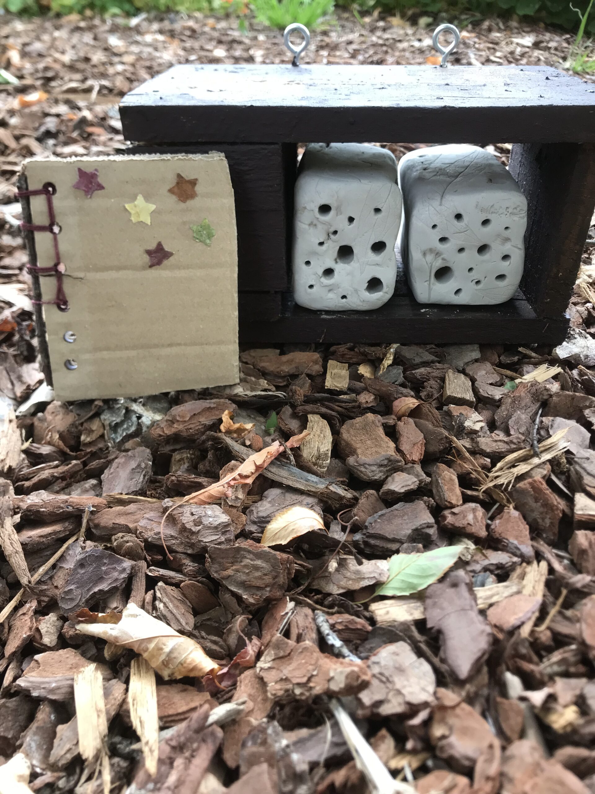 Guêpe abeille guêpe solitaire abeille solitaire syrphe alliés du jardin auxiliaires activités enfants activité insectes nids abeilles nids guêpes pollinisation biodiversité au jardin jardin au naturel Permaculture écojardin