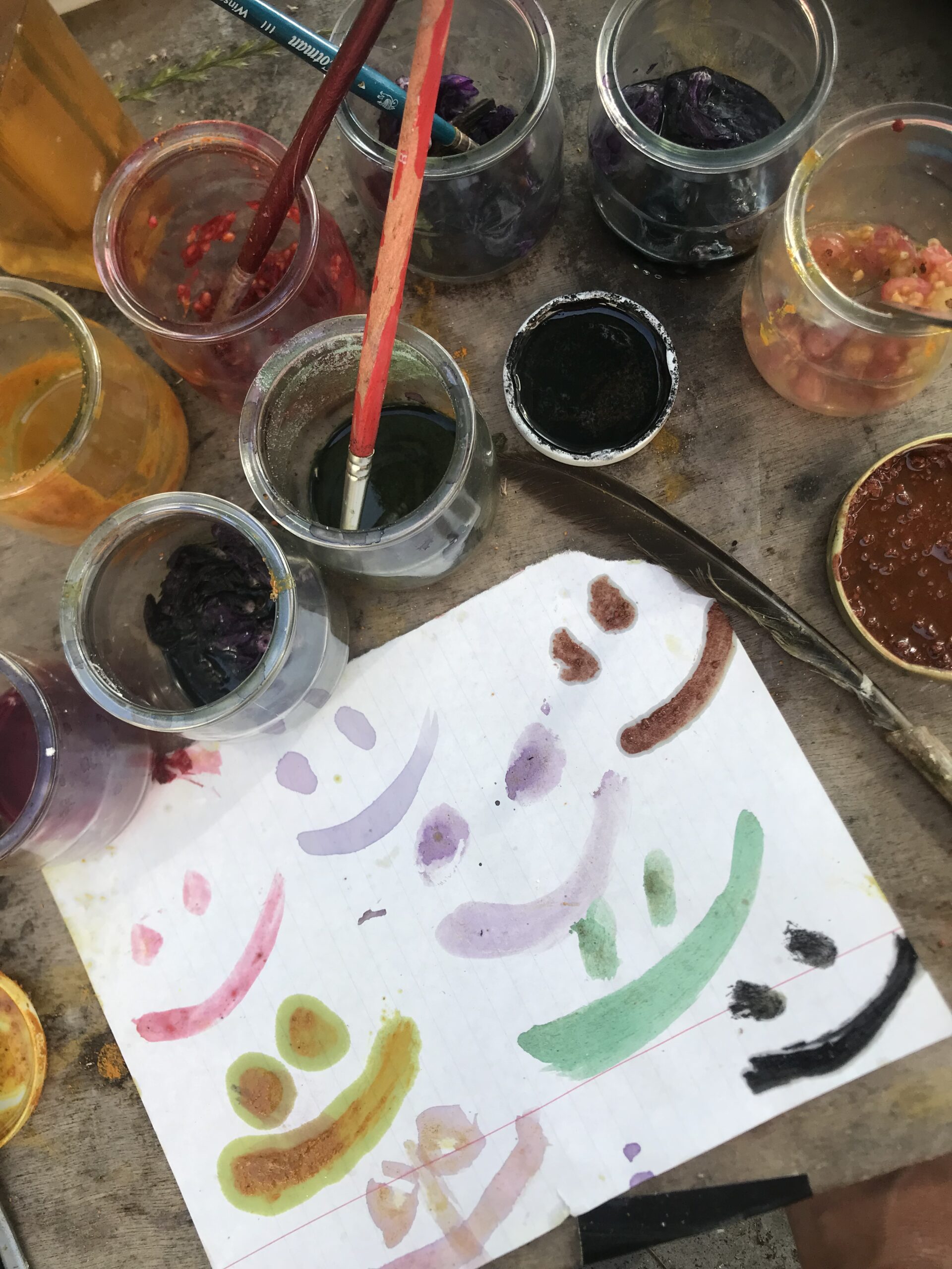 Couleurs végétales : les recettes