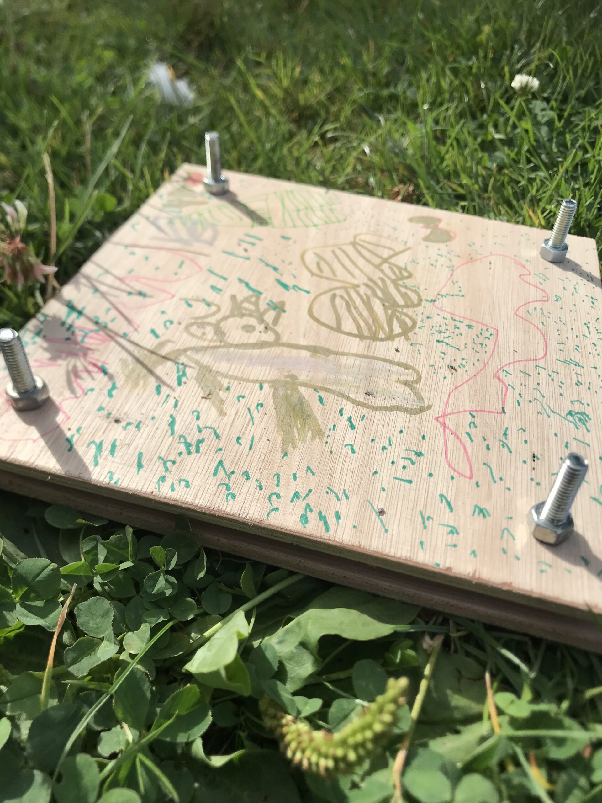 Presse fleur jardin du cœur émotions cultiver ses émotions activités enfants 