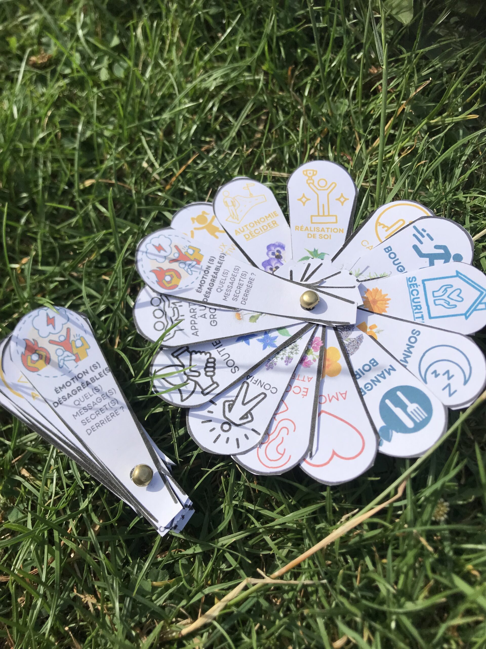 Fleur messages secret émotions besoins enfants colère émotion désagréable crise 