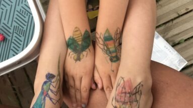 Nid hôtel insecte Guêpe abeille guêpe solitaire abeille solitaire syrphe alliés du jardin auxiliaires activités enfants activité insectes nids abeilles nids guêpes pollinisation biodiversité au jardin jardin au naturel Permaculture écojardin Dans la peau de