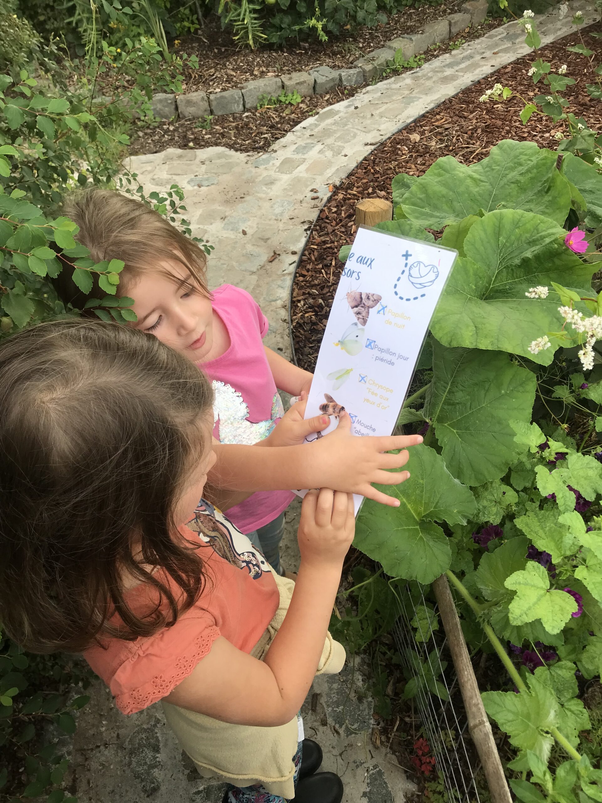Nid hôtel insecte Guêpe abeille guêpe solitaire abeille solitaire syrphe alliés du jardin auxiliaires activités enfants activité insectes nids abeilles nids guêpes pollinisation biodiversité au jardin jardin au naturel Permaculture écojardin