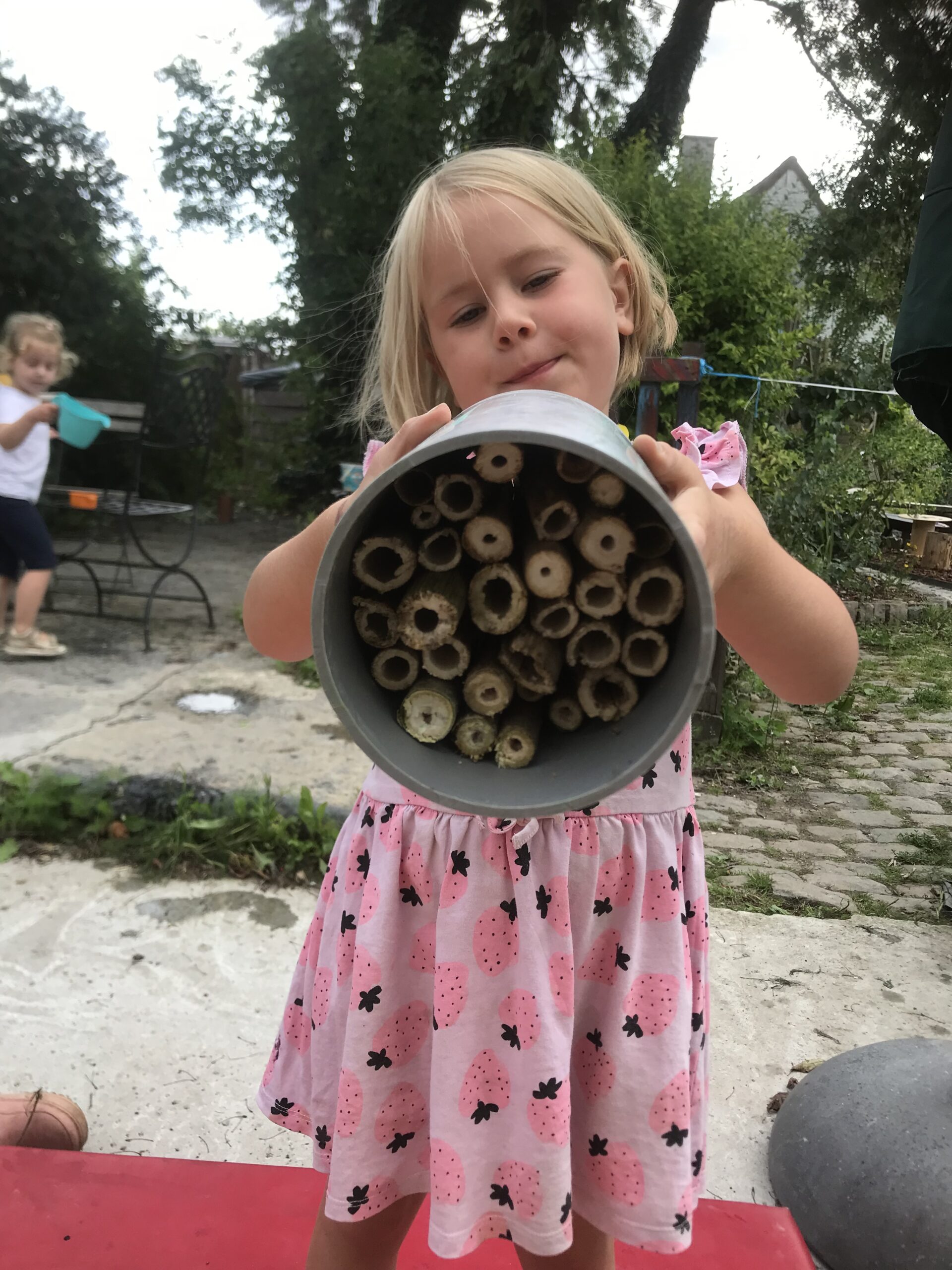 Nid hôtel insecte Guêpe abeille guêpe solitaire abeille solitaire syrphe alliés du jardin auxiliaires activités enfants activité insectes nids abeilles nids guêpes pollinisation biodiversité au jardin jardin au naturel Permaculture écojardin