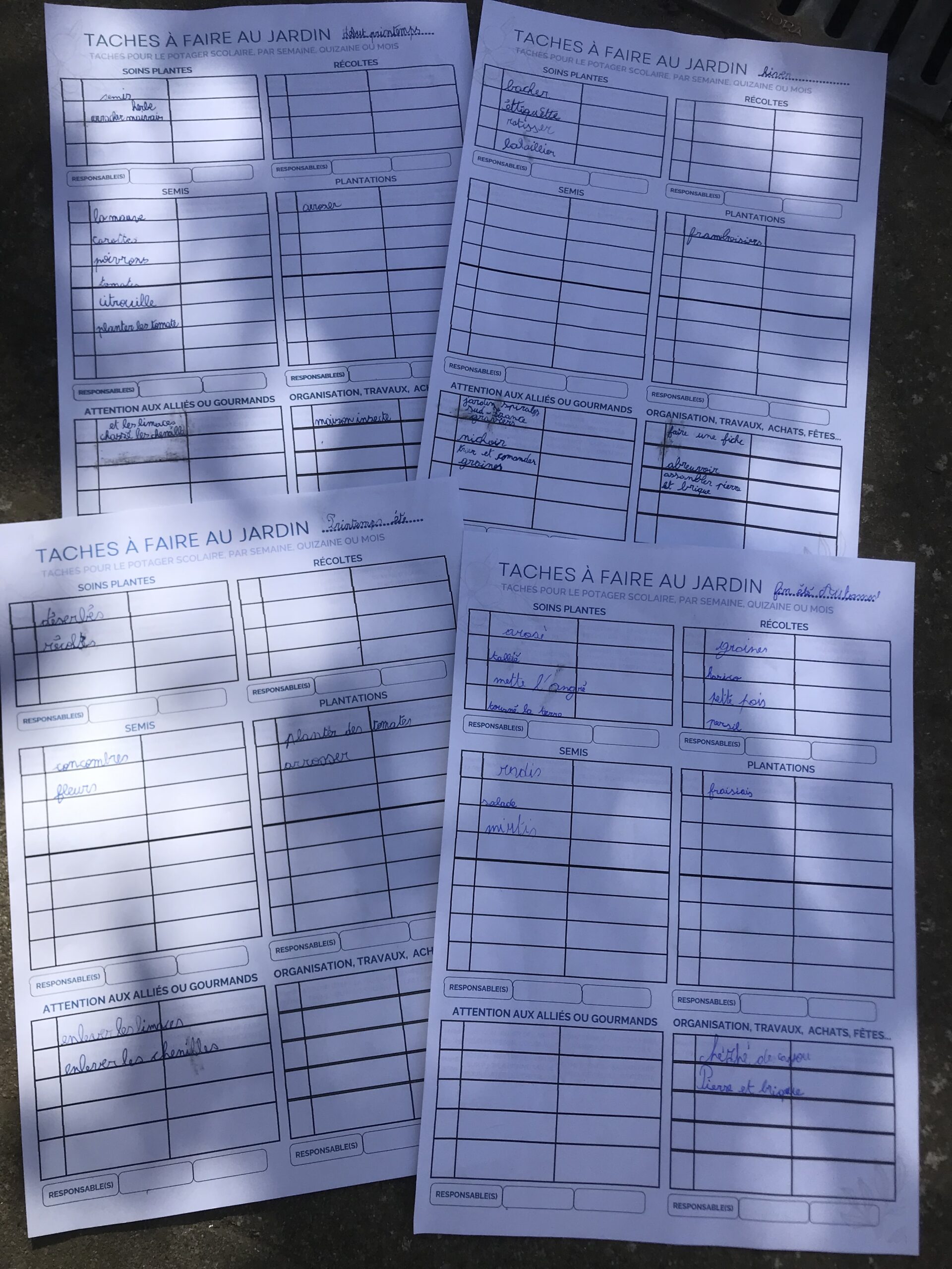 Planning tache potager organisation Lancer un Potager école motiver les élèves potager naturel