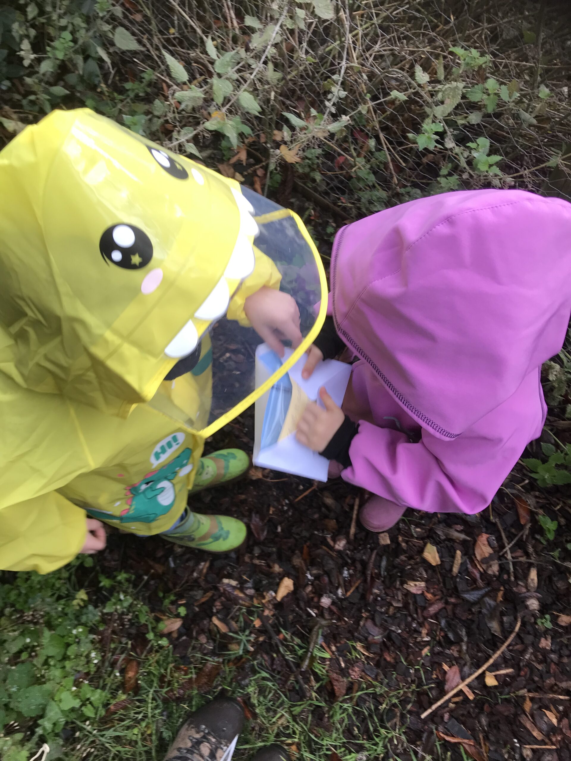 Stage monstre araignée peur enfant 