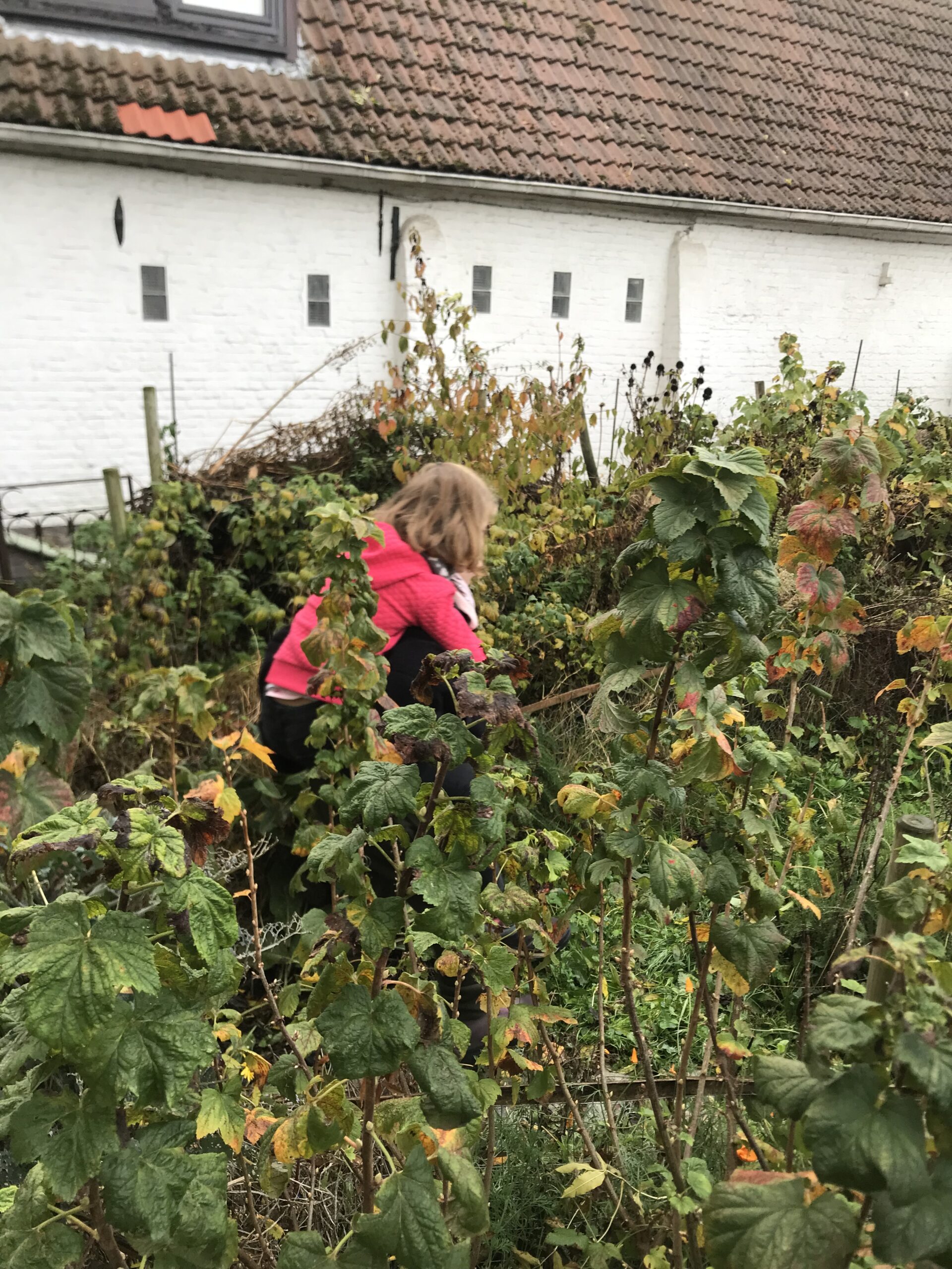 Stage monstre araignée peur enfant 