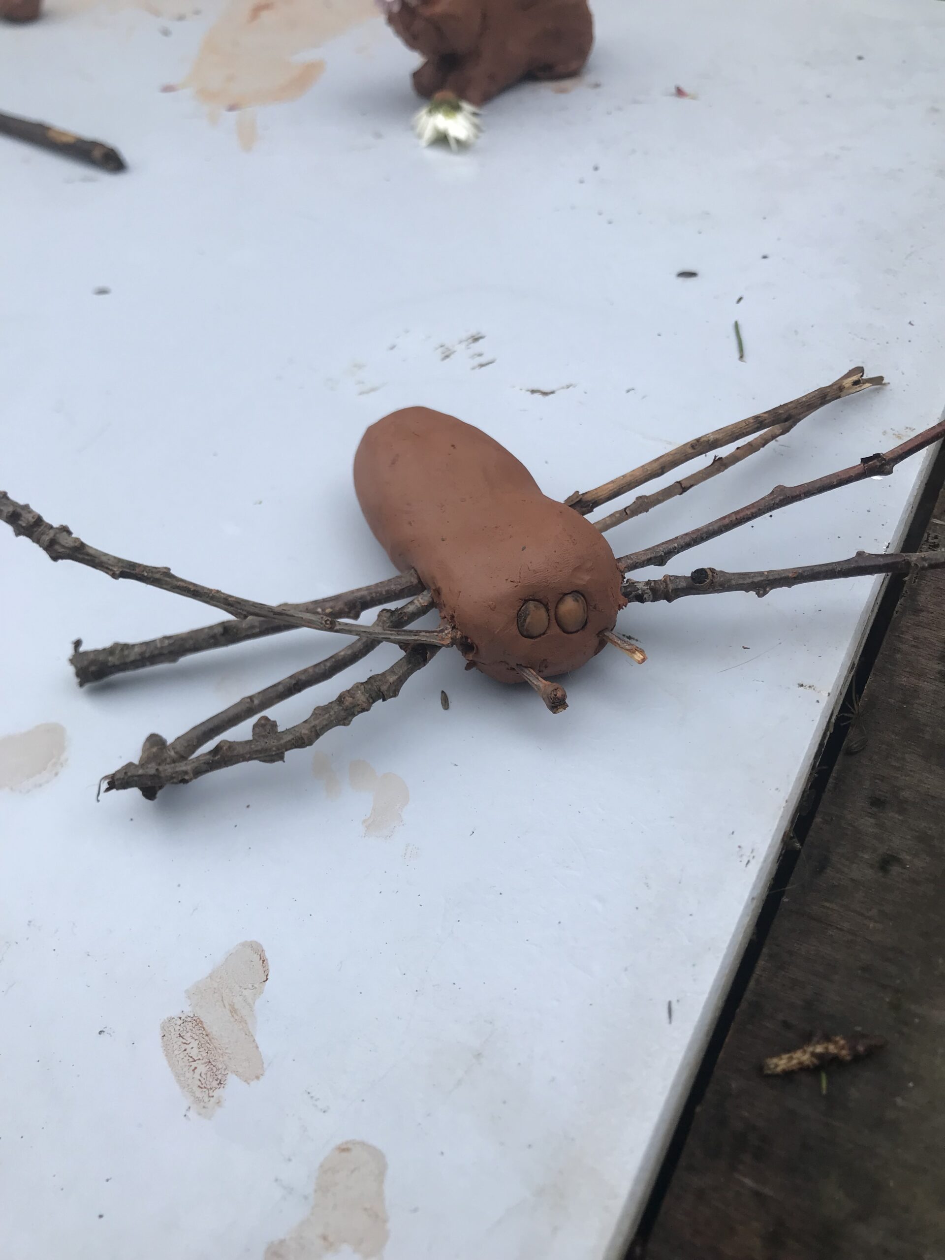 Stage monstre araignée peur enfant 