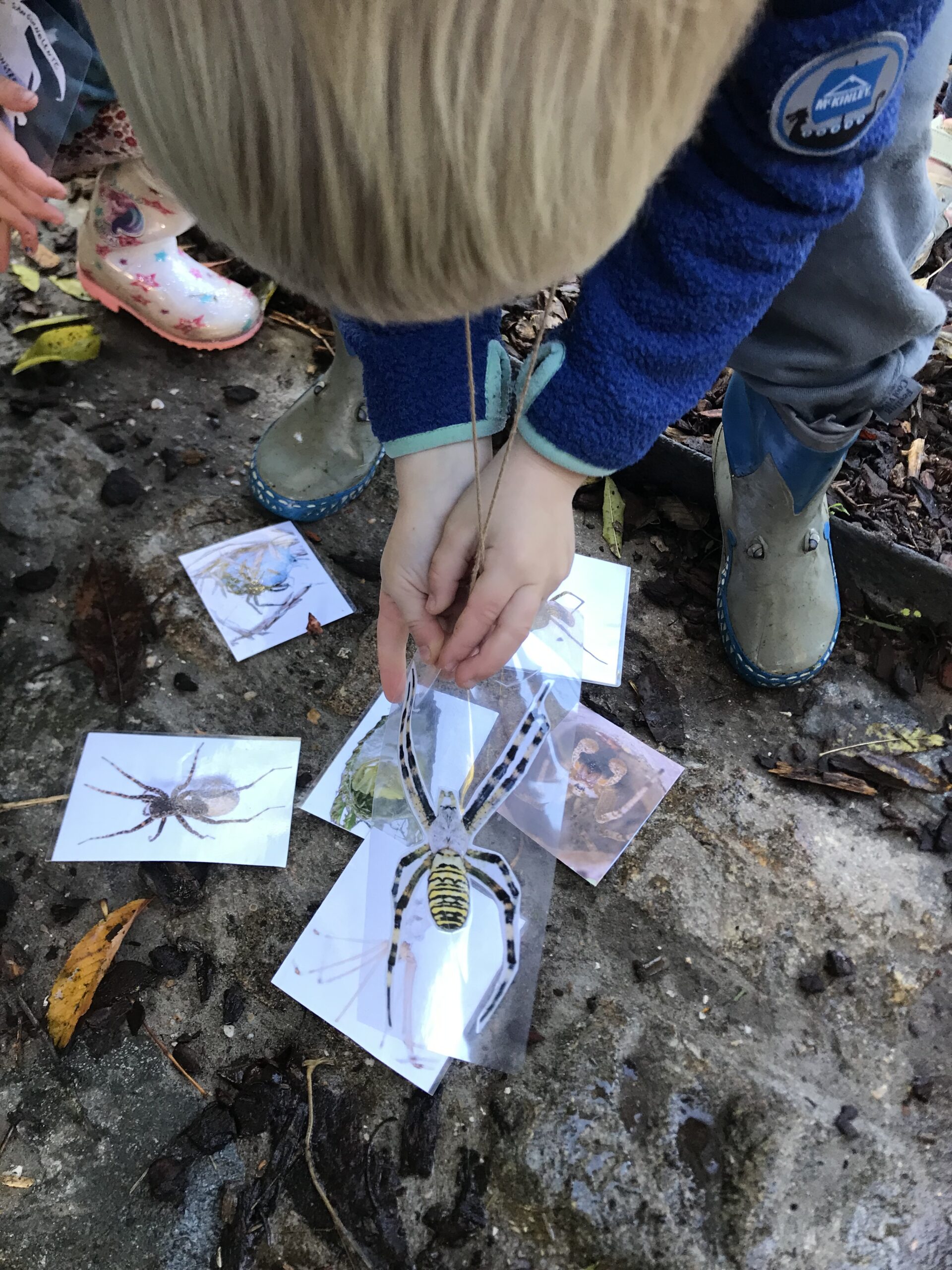Stage monstre araignée peur enfant 